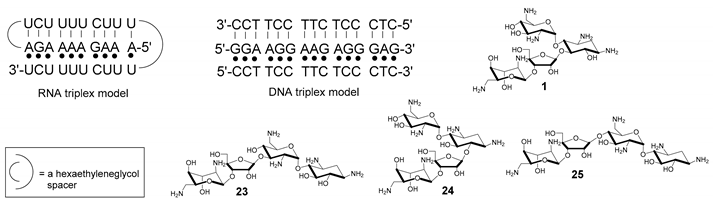 Molecules 24 00580 i001