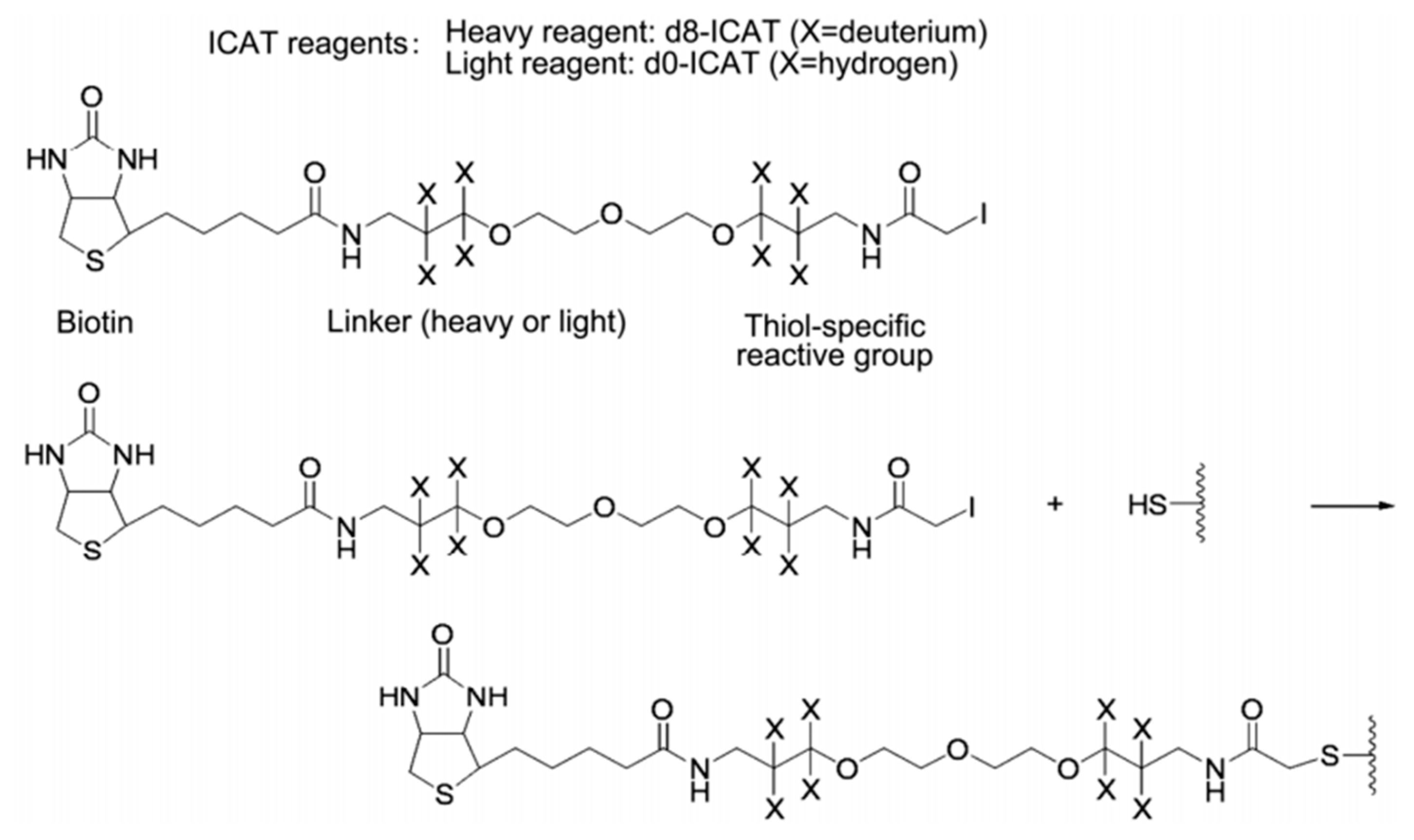 Molecules 24 00581 g006 550