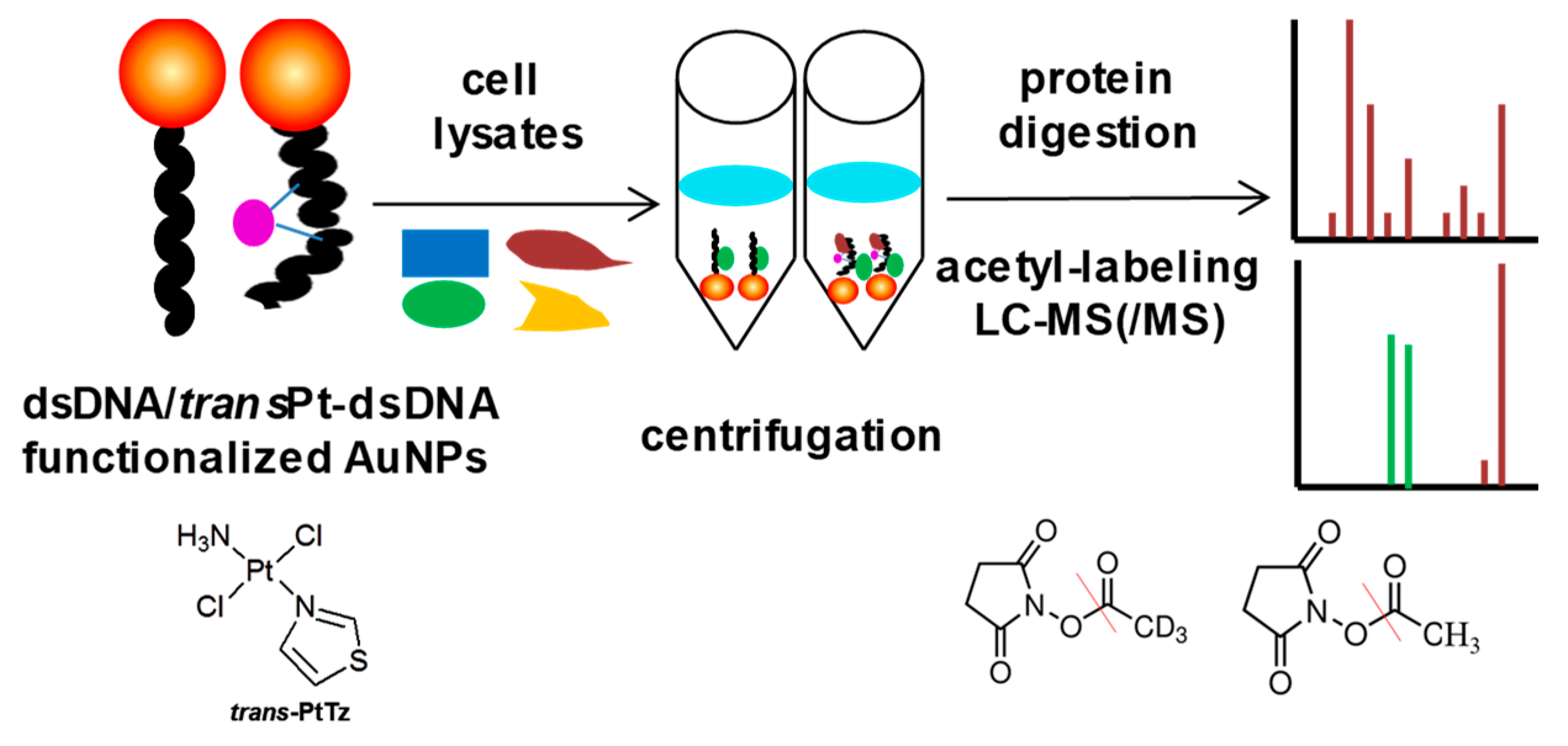 Molecules 24 00581 g010 550