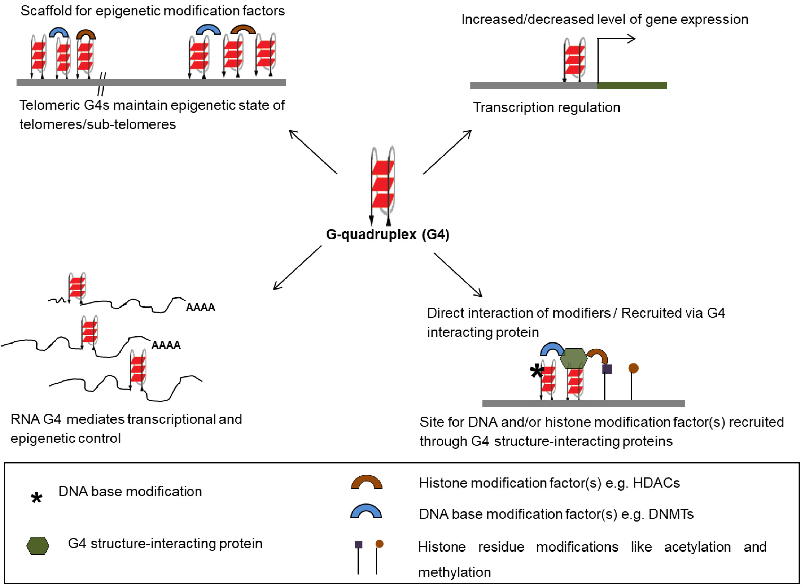 Molecules 24 00582 g002 550