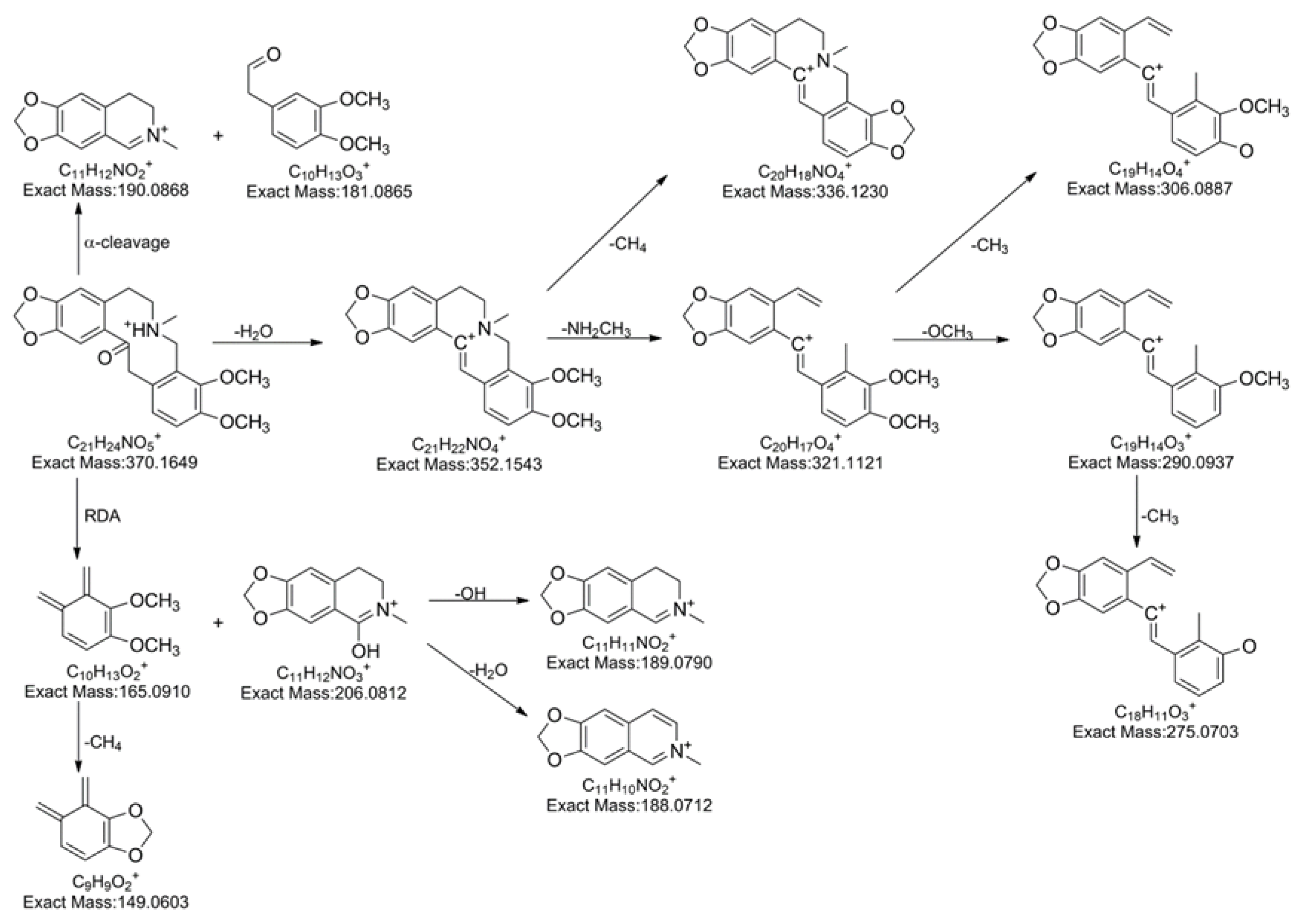 Molecules 24 00585 g004