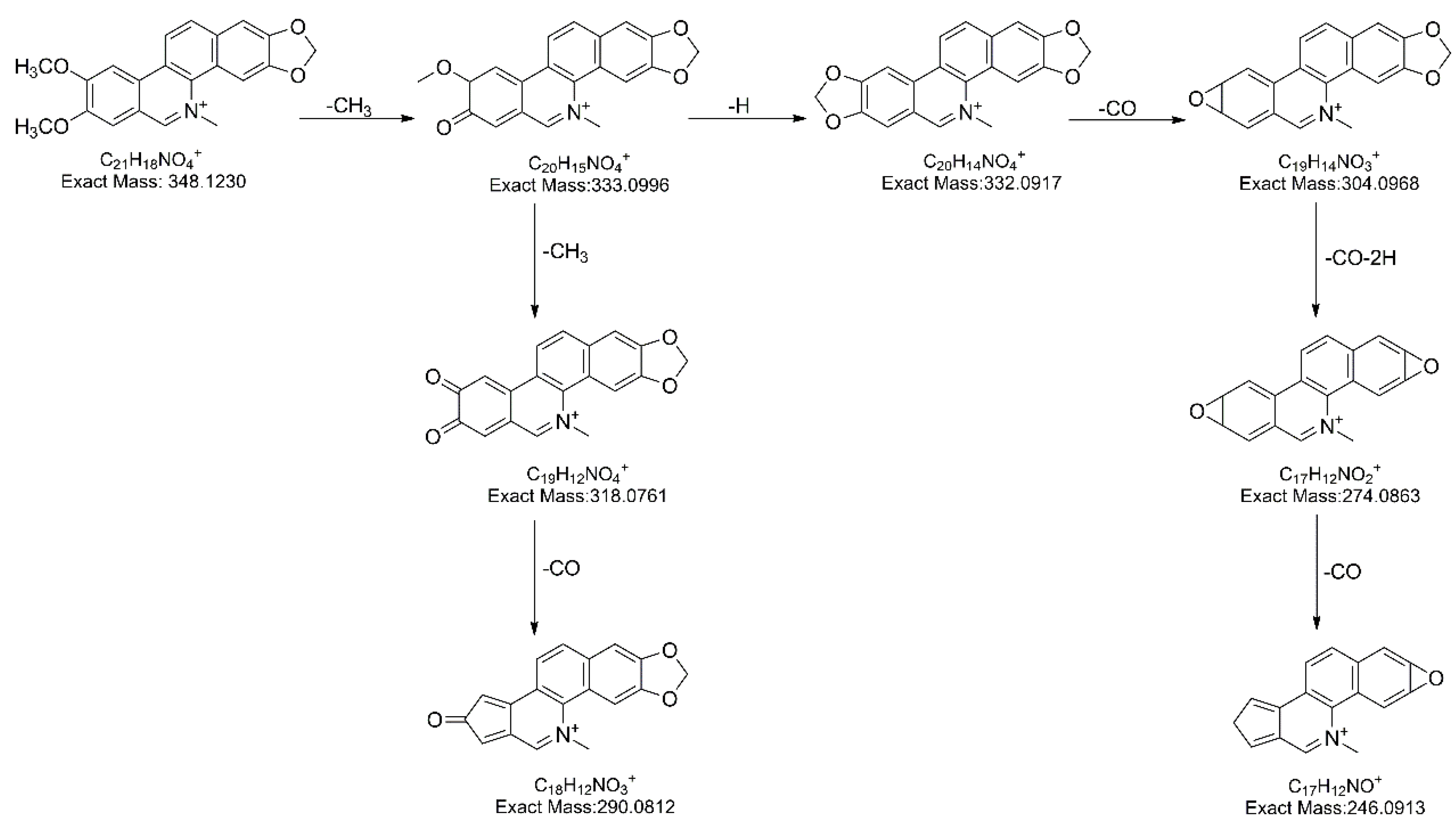 Molecules 24 00585 g005