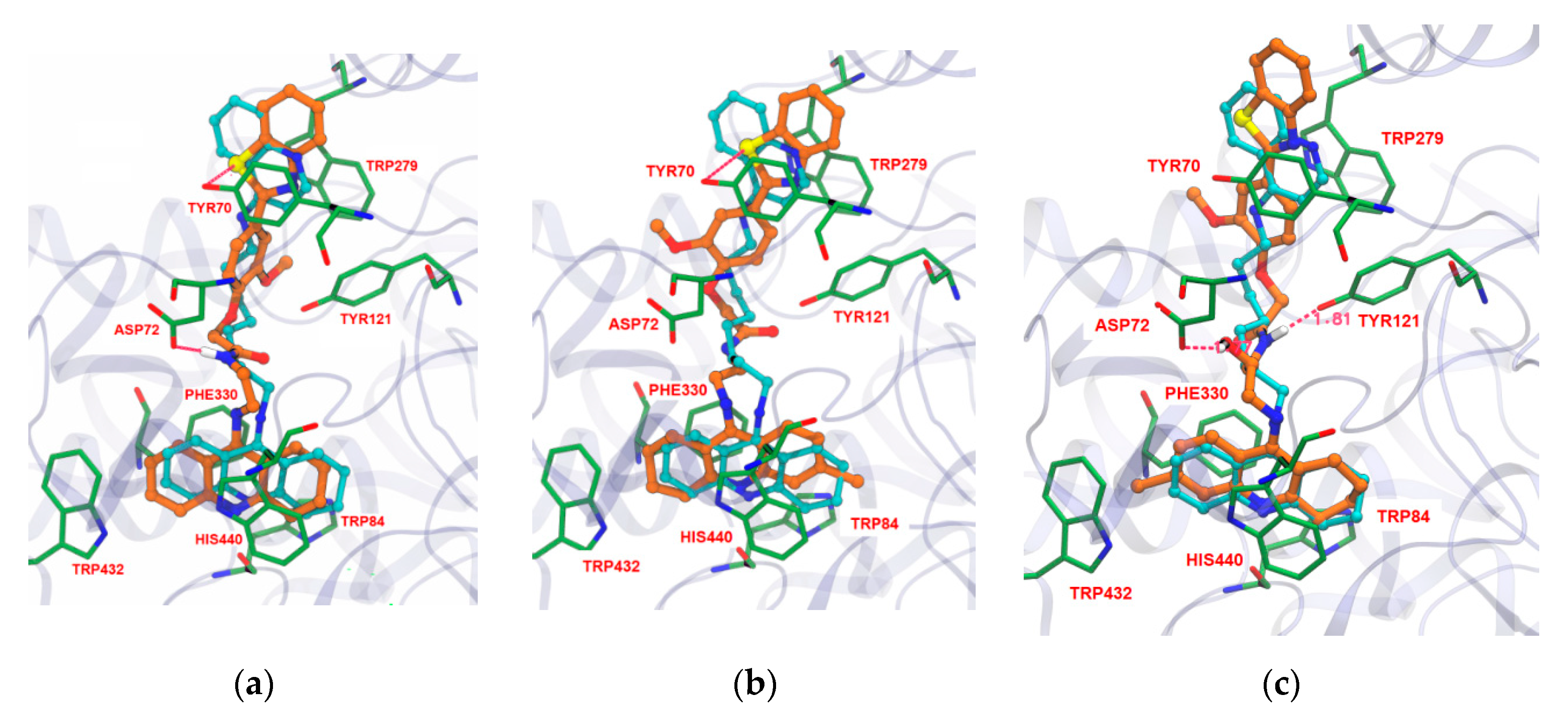 Molecules 24 00587 g002