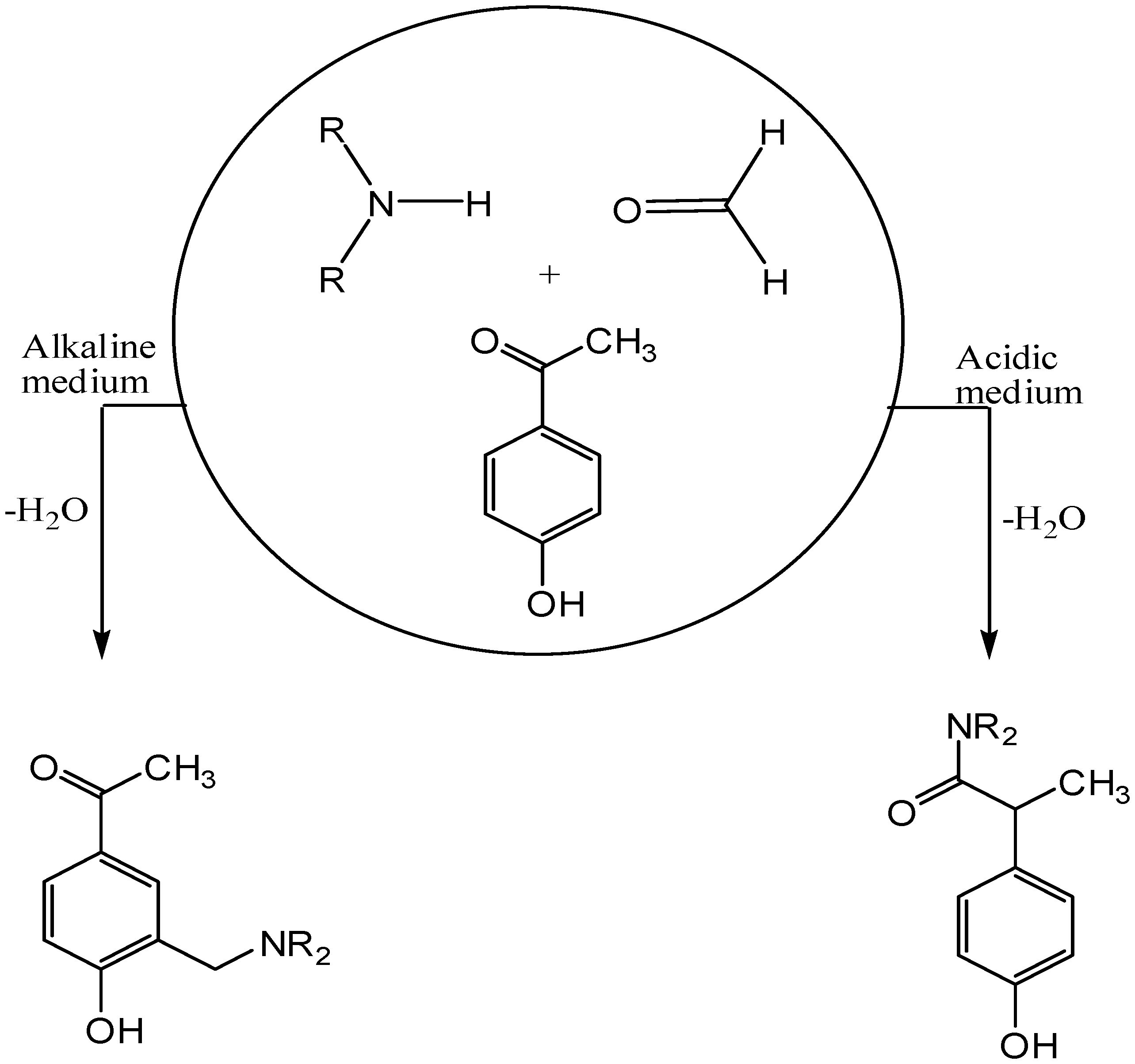 Molecules 24 00590 sch001