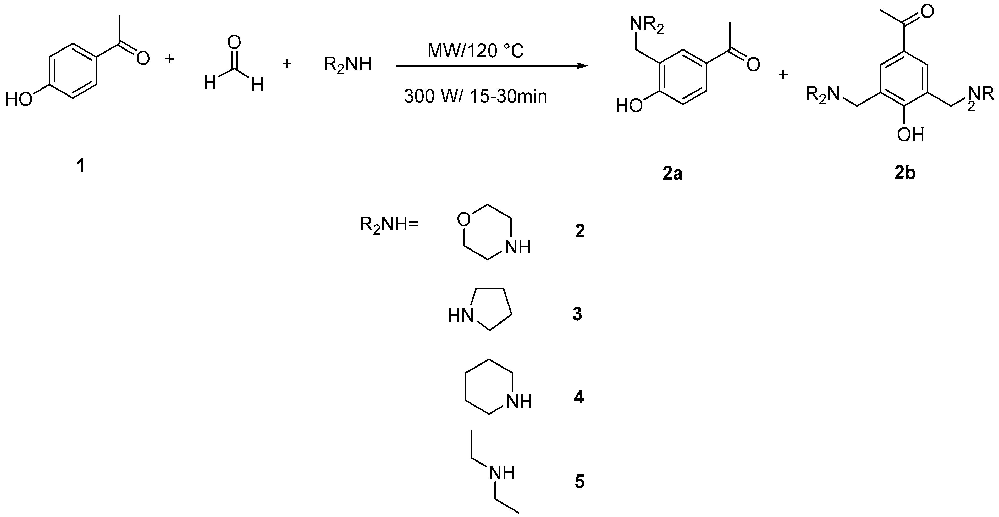Molecules 24 00590 sch002