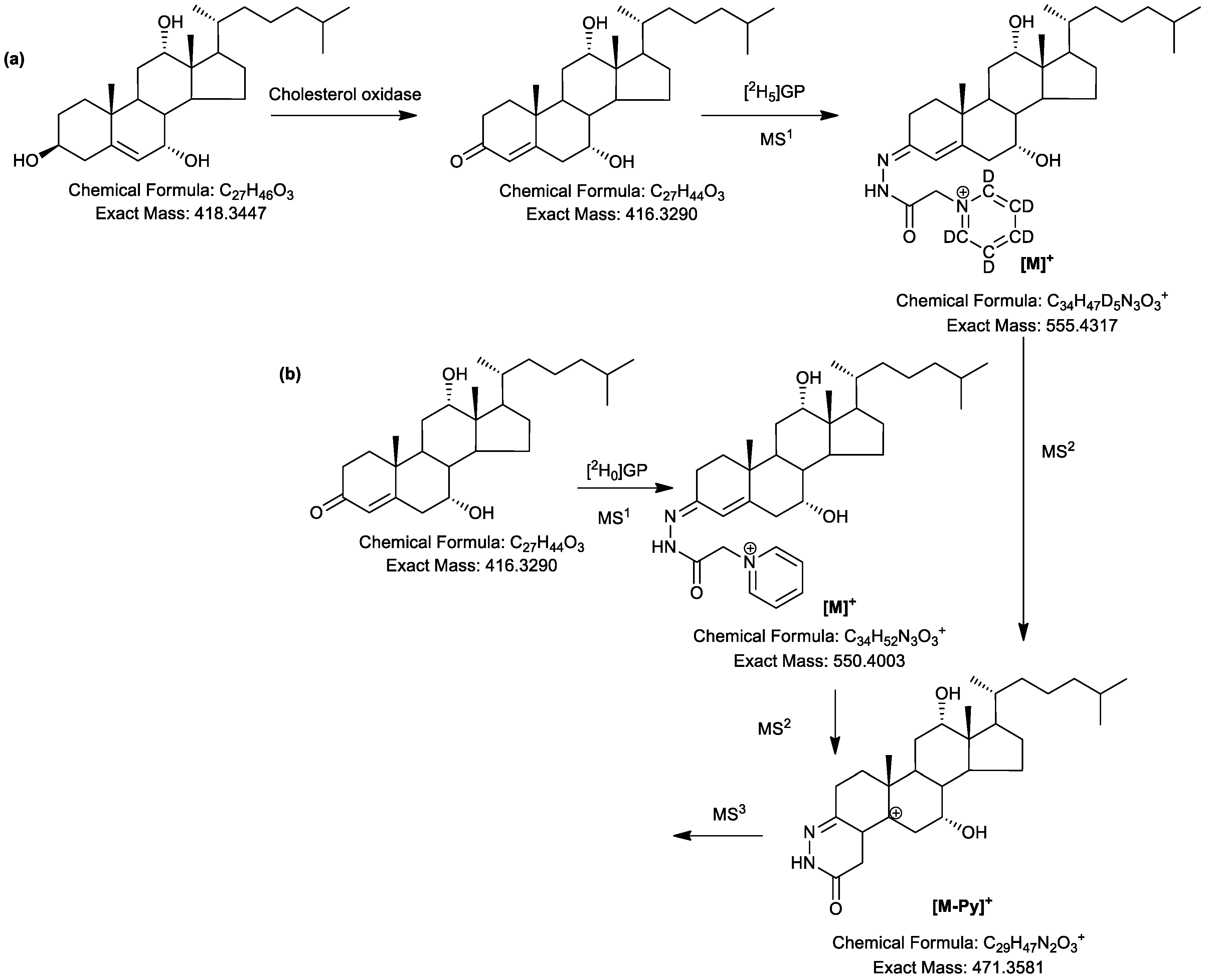 Molecules 24 00597 sch001a