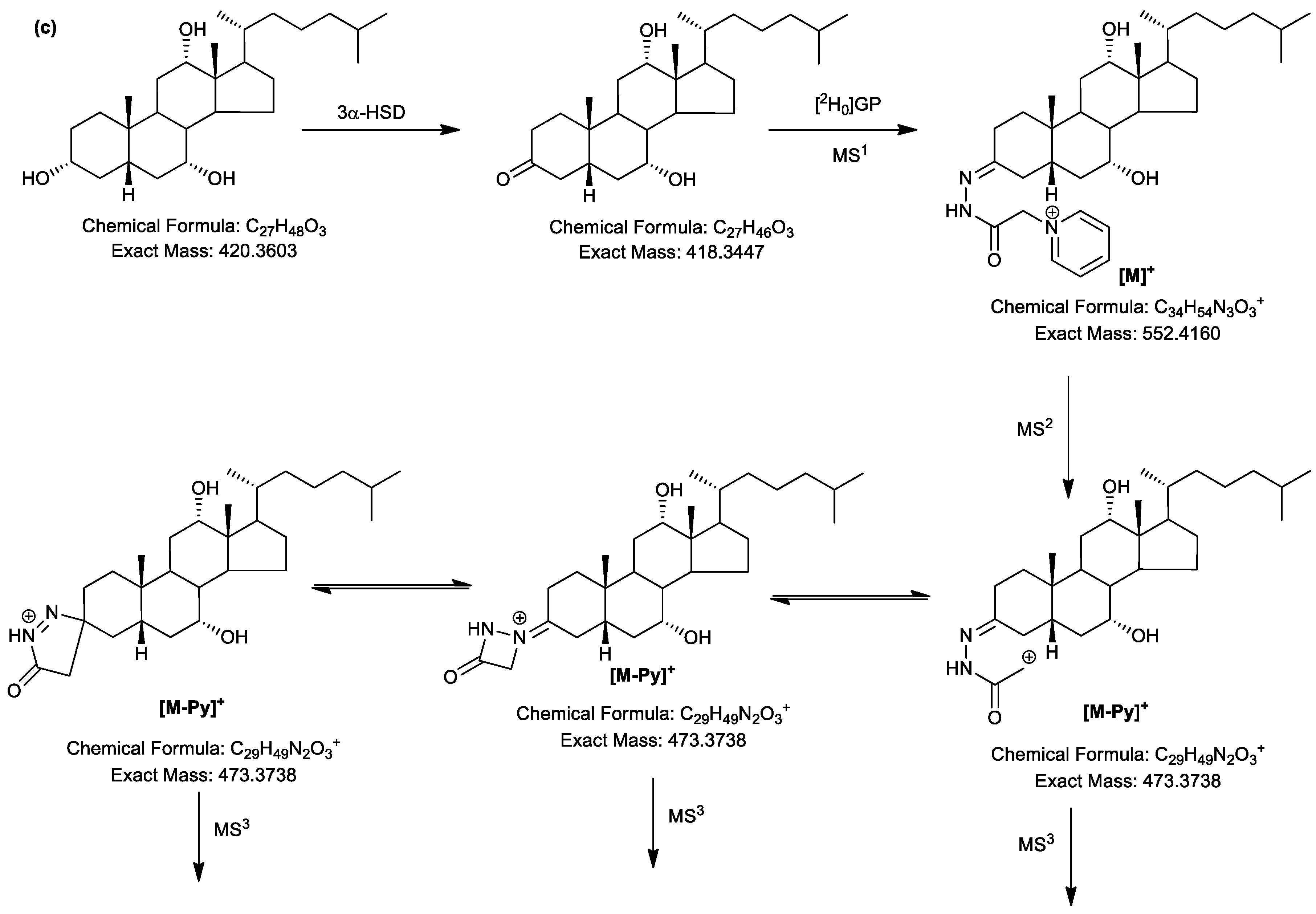 Molecules 24 00597 sch001b