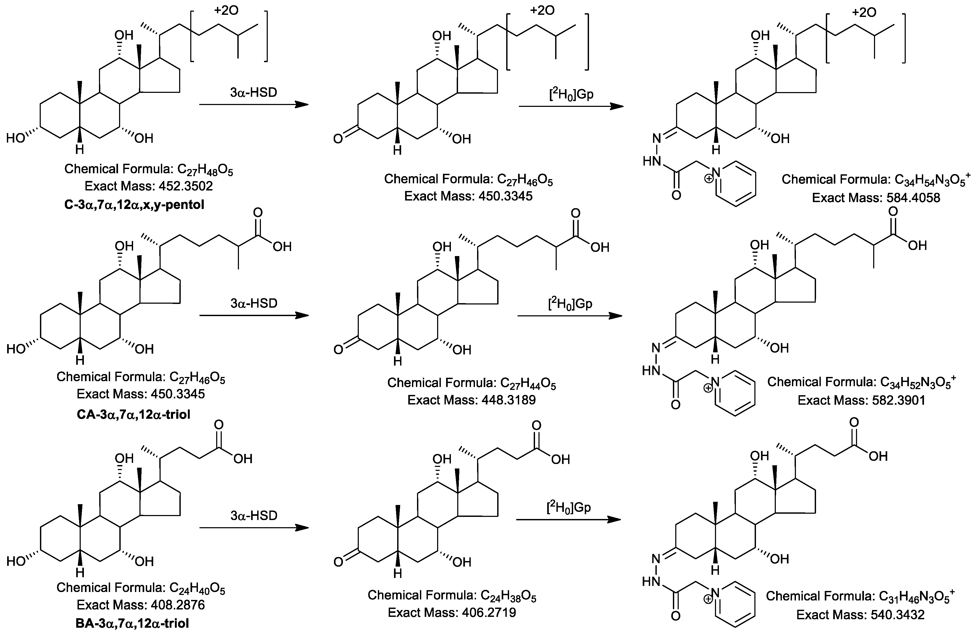 Molecules 24 00597 sch002b