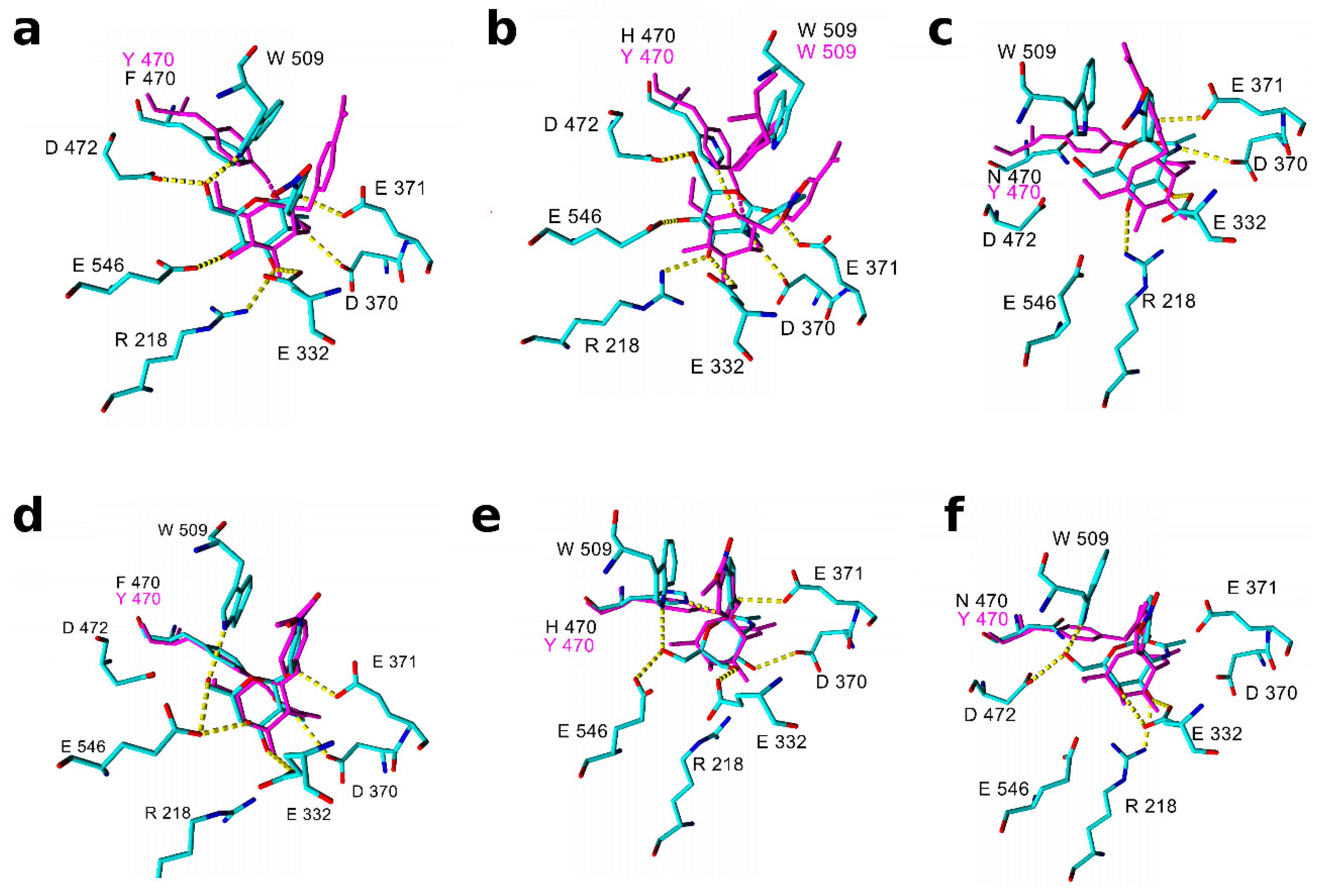 Molecules 24 00599 g002 Molecules 24 00599 g002