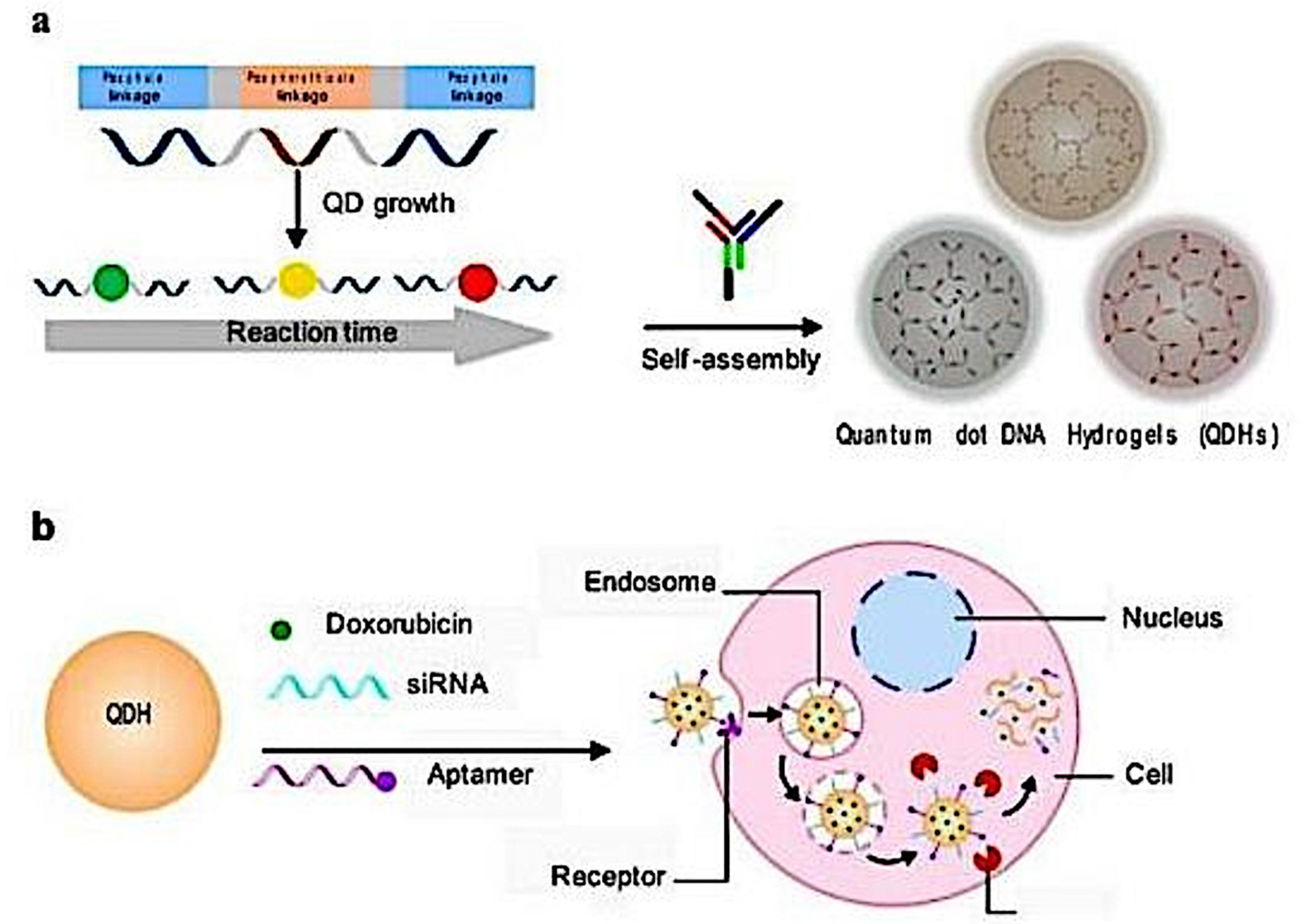 Molecules 24 00603 g003
