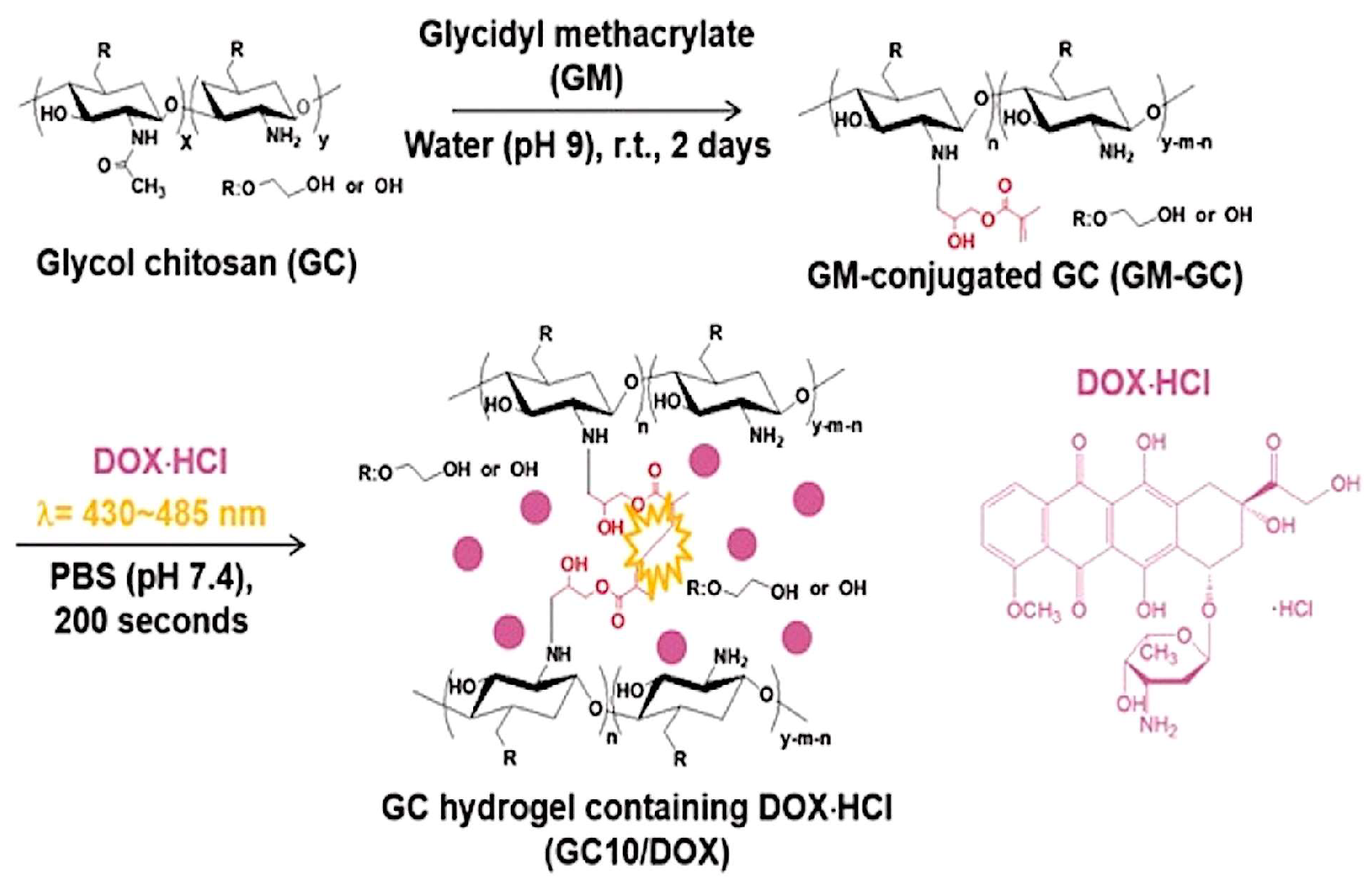 Molecules 24 00603 g007