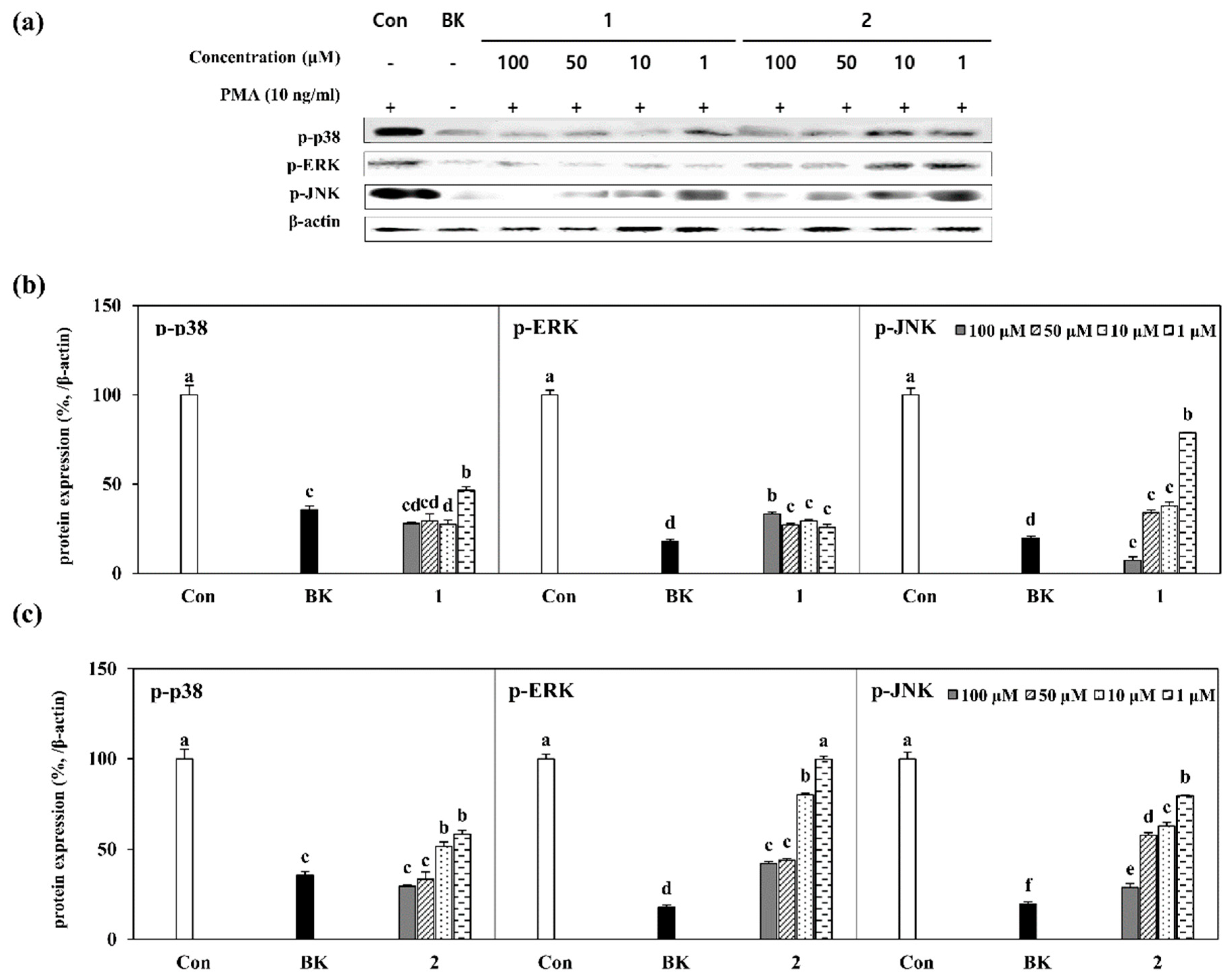 Molecules 24 00604 g005 550