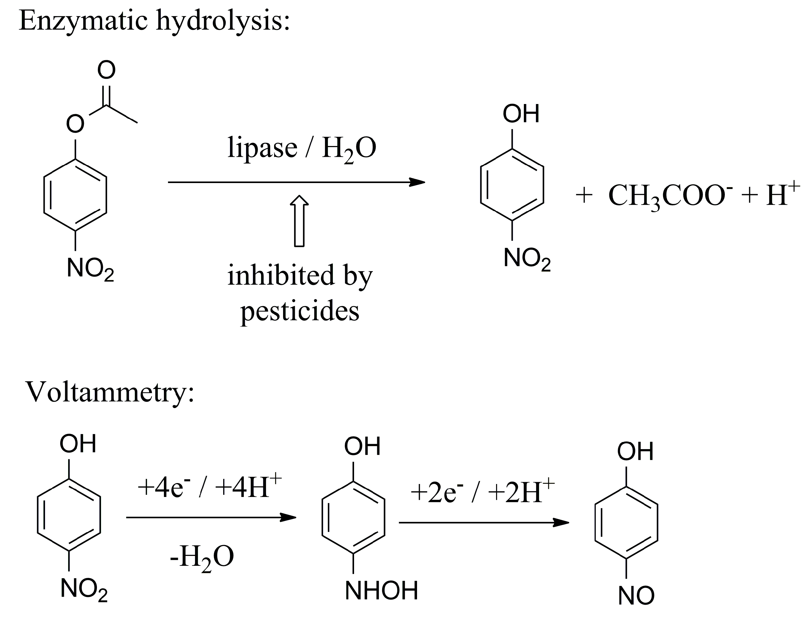 Molecules 24 00616 g005 Molecules 24 00616 g005