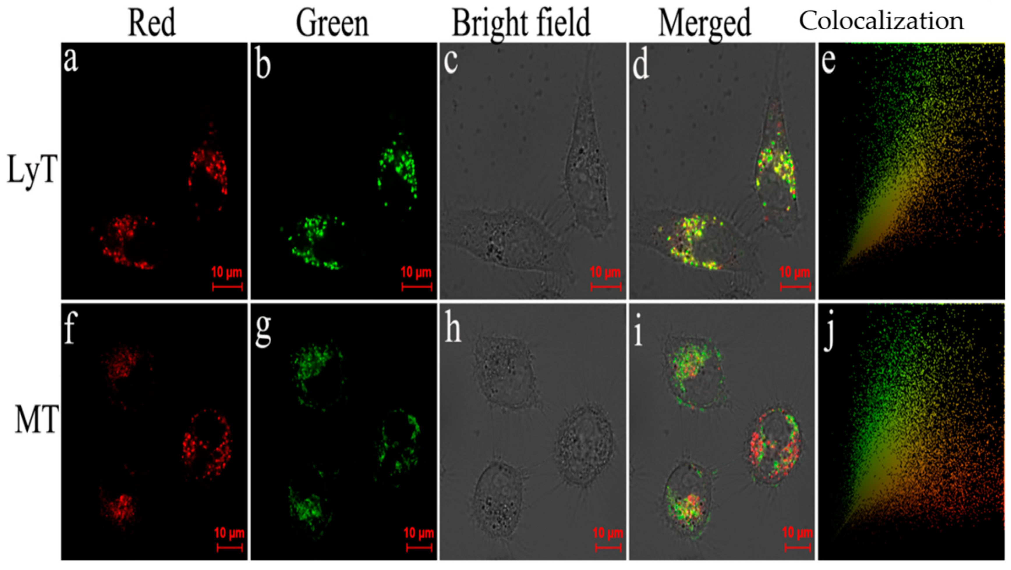 Molecules 24 00618 g006 Molecules 24 00618 g006