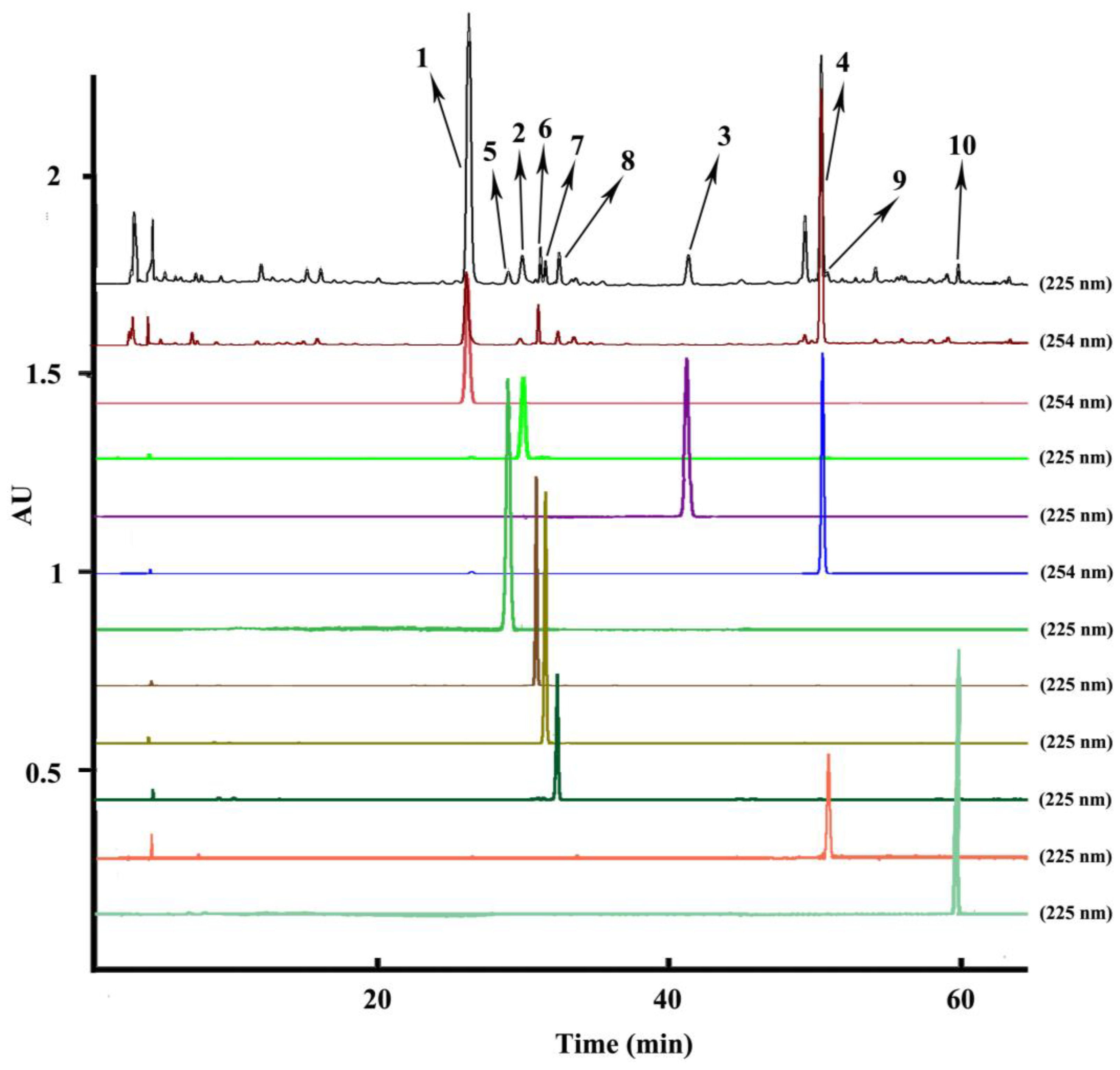 Molecules 24 00620 g002