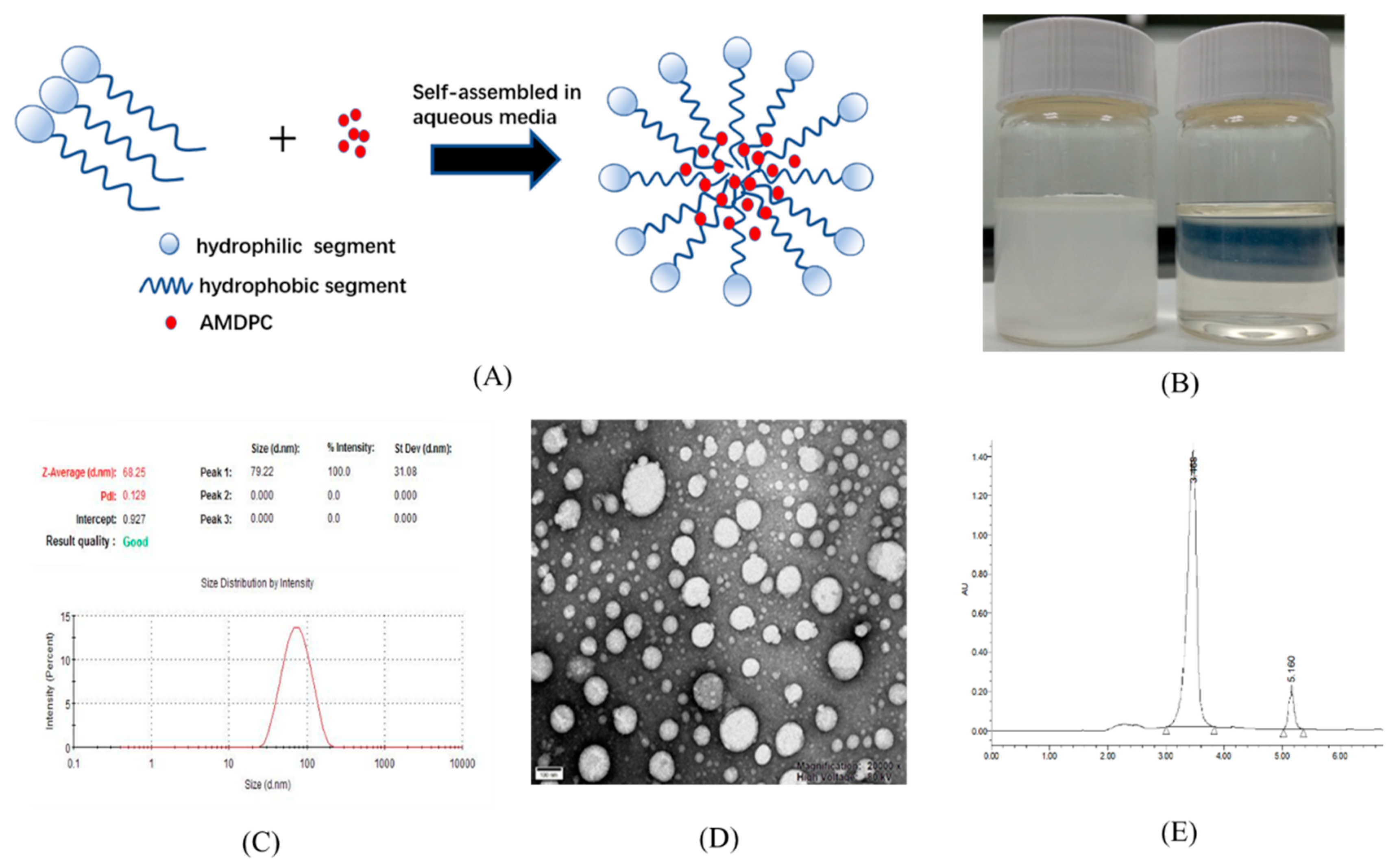 Molecules 24 00624 g002