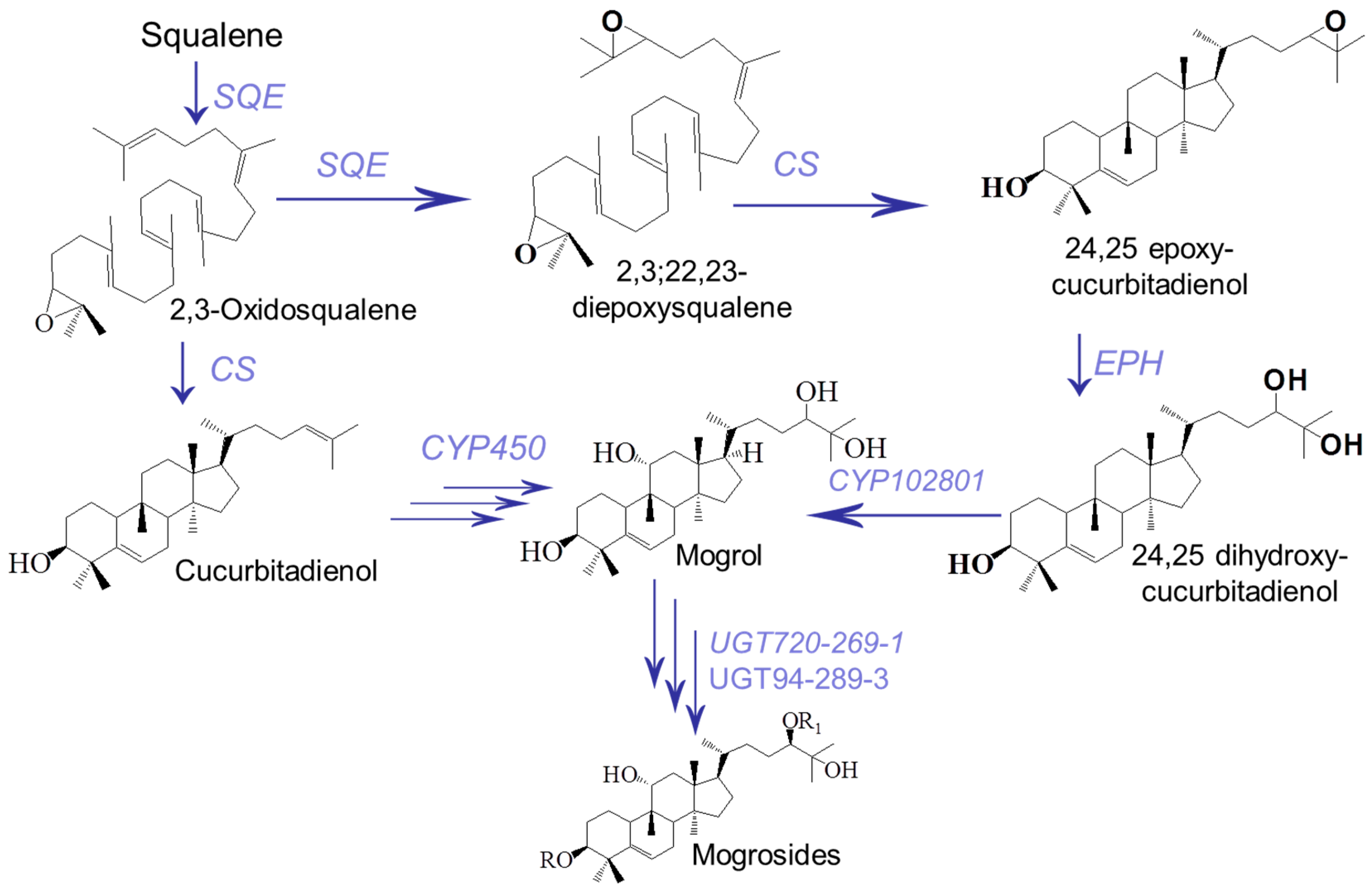 Molecules 24 00627 g001 Molecules 24 00627 g001