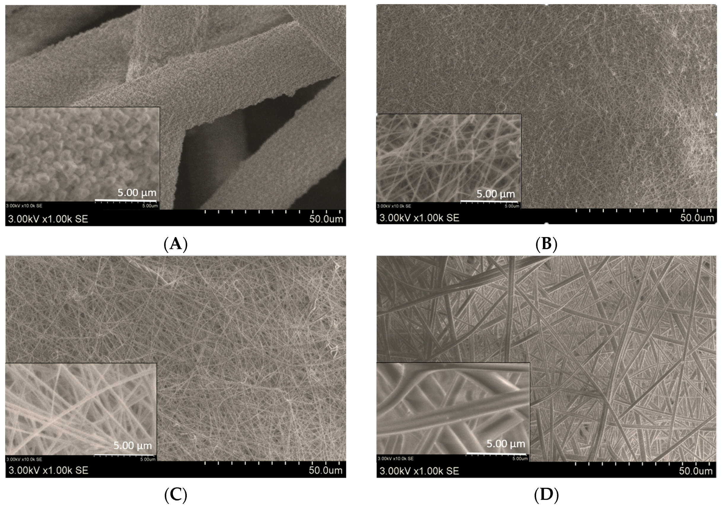 Molecules 24 00628 g001a