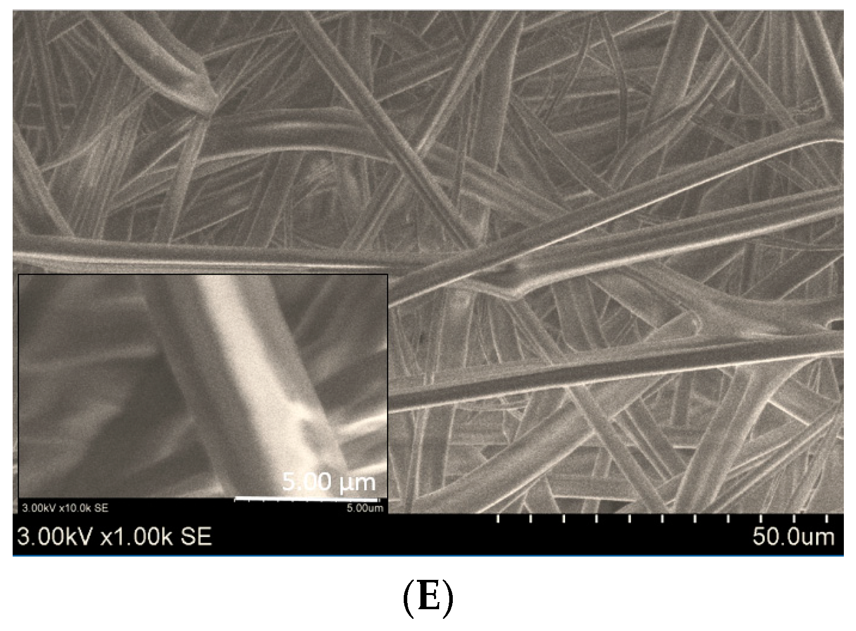 Molecules 24 00628 g001b