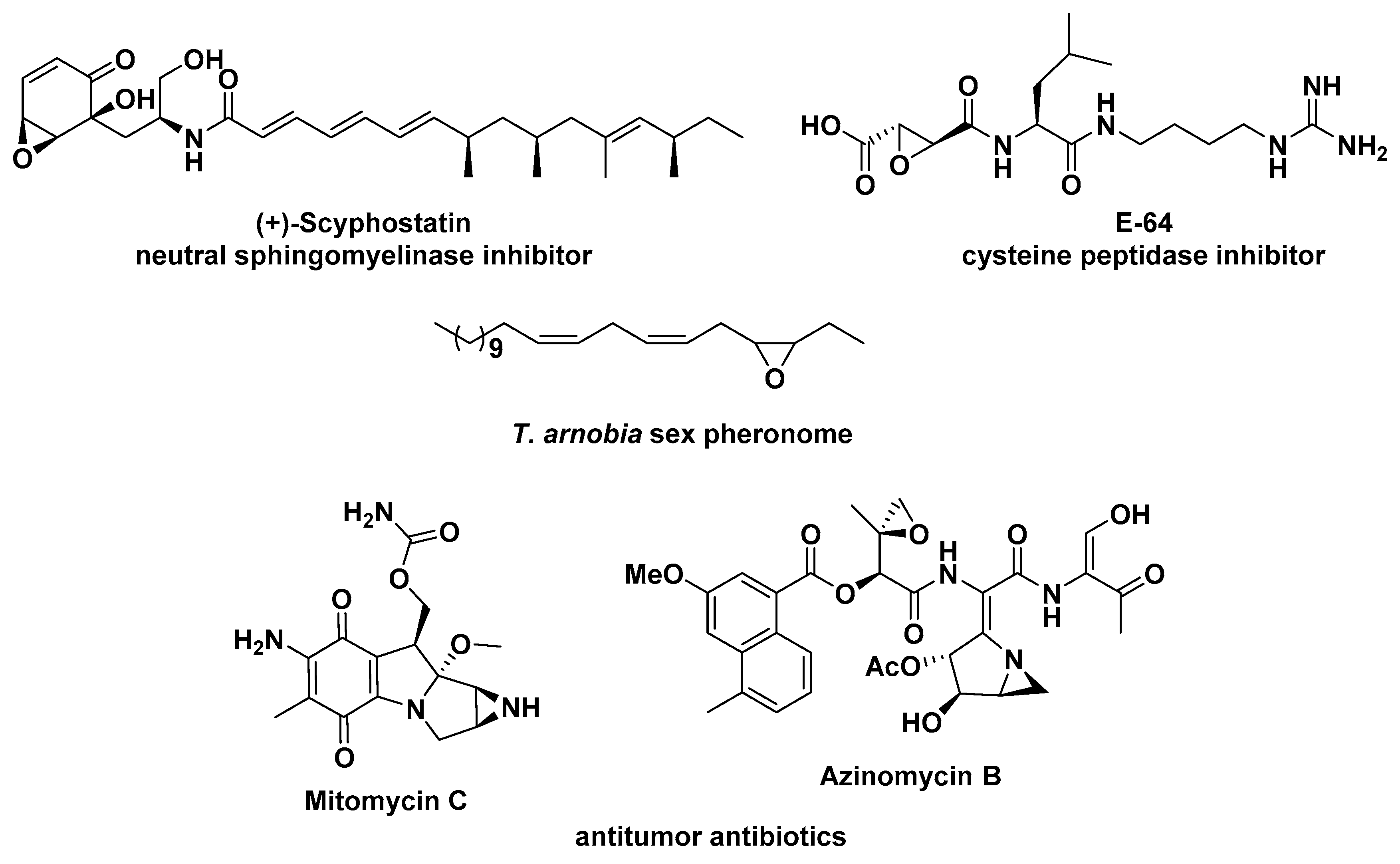 Molecules 24 00630 g001