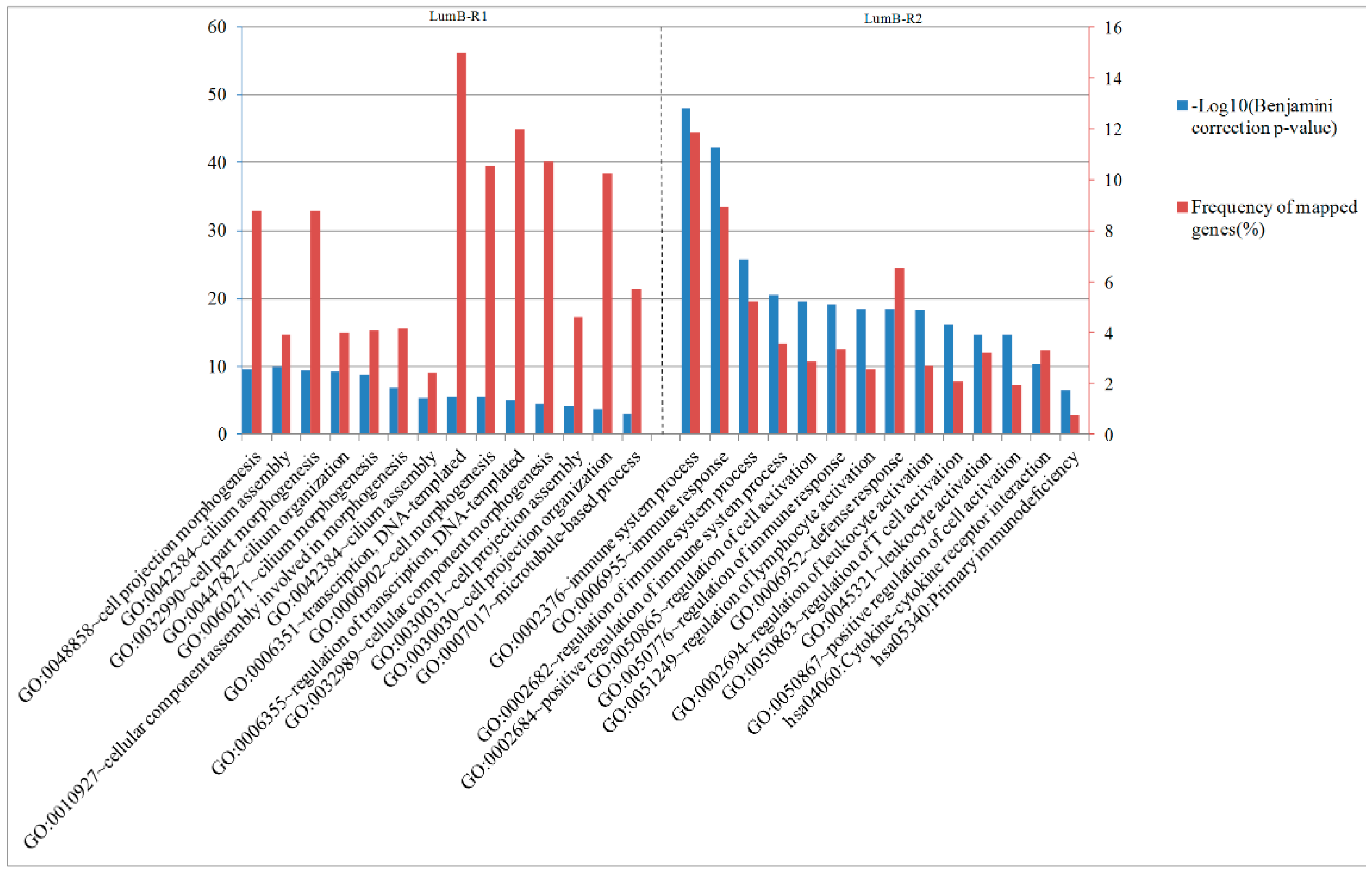 Molecules 24 00631 g011 Molecules 24 00631 g011