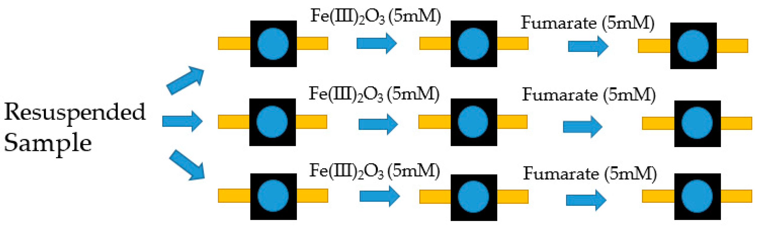 Molecules 24 00646 g011 Molecules 24 00646 g011