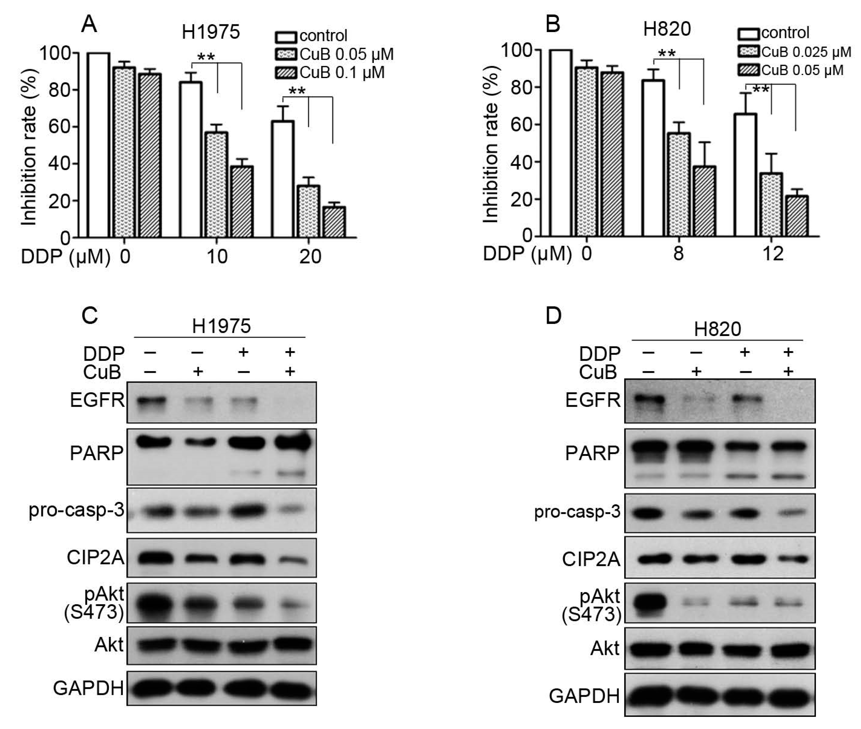 Molecules 24 00647 g006