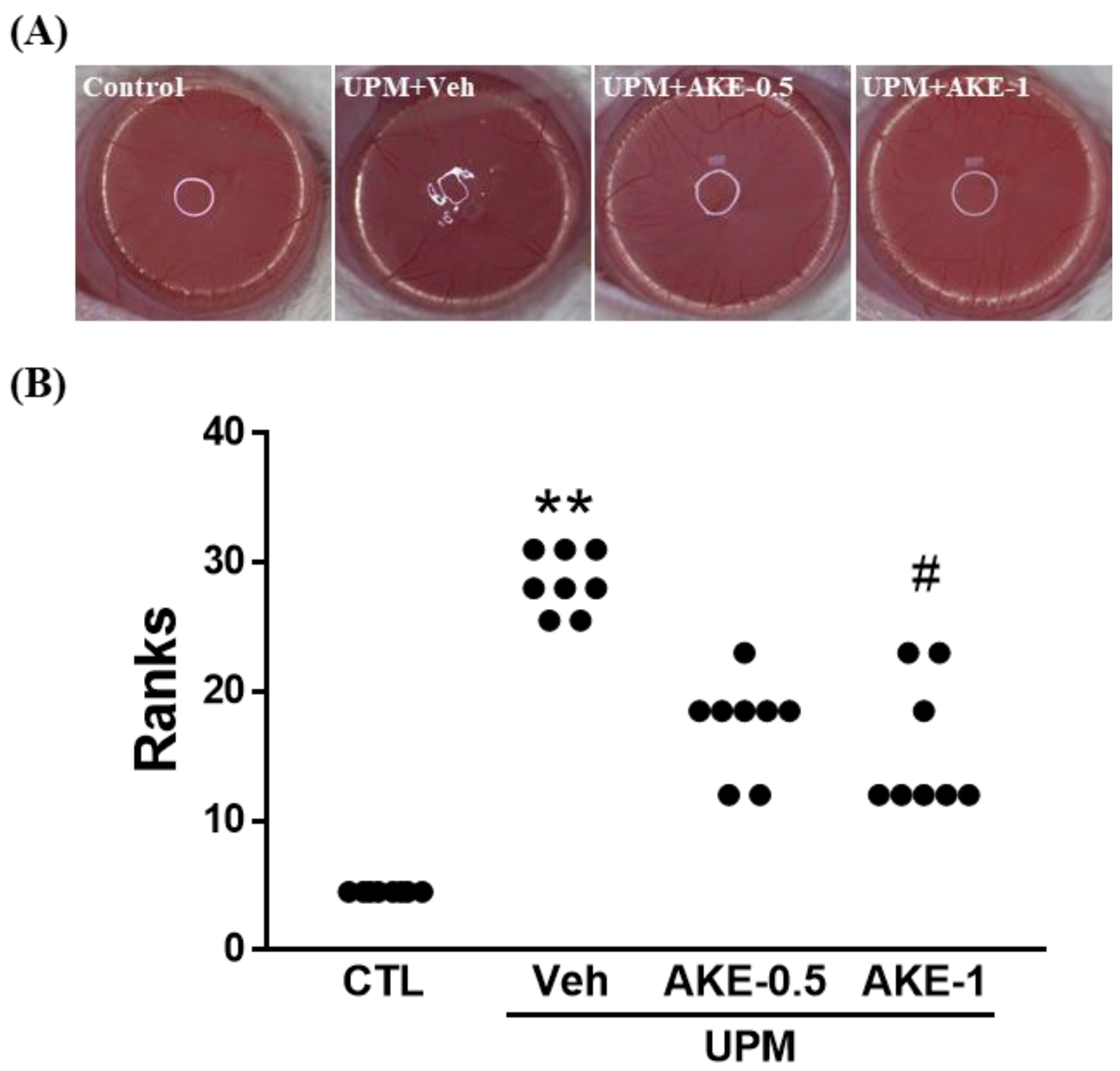 Molecules 24 00650 g003 Molecules 24 00650 g003