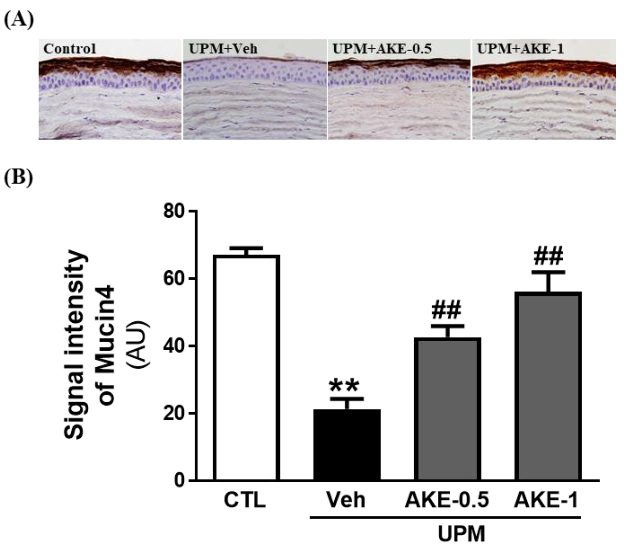 Molecules 24 00650 g004 Molecules 24 00650 g004