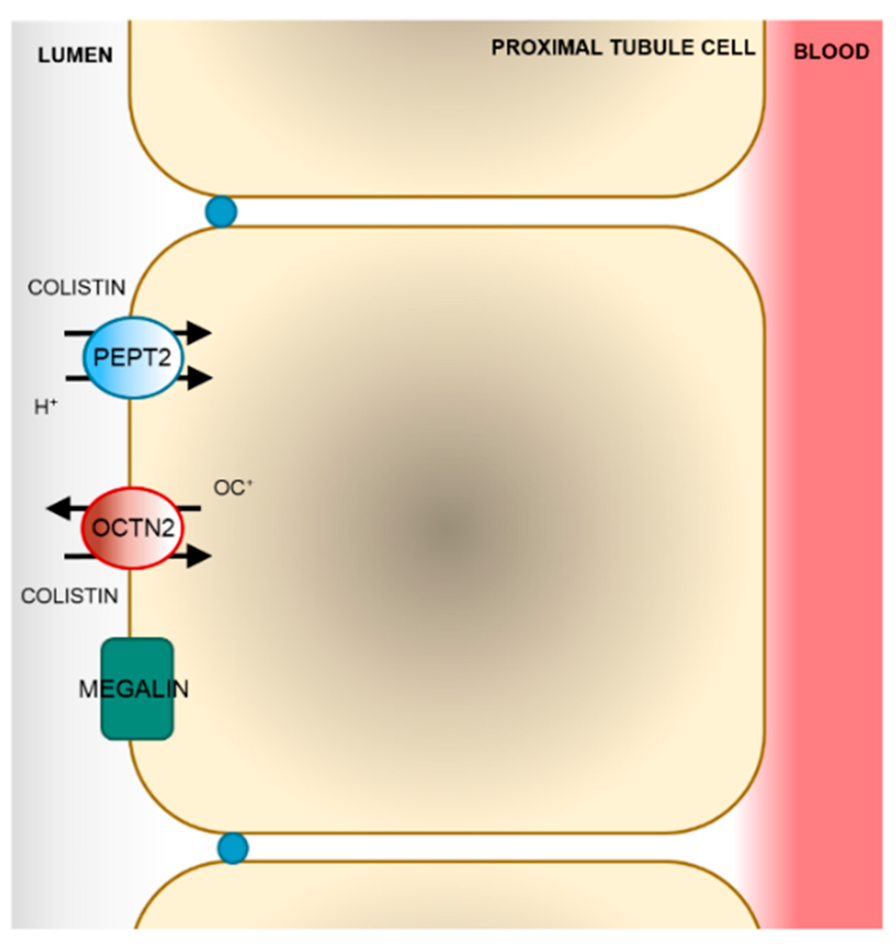 Molecules 24 00653 g004 Molecules 24 00653 g004