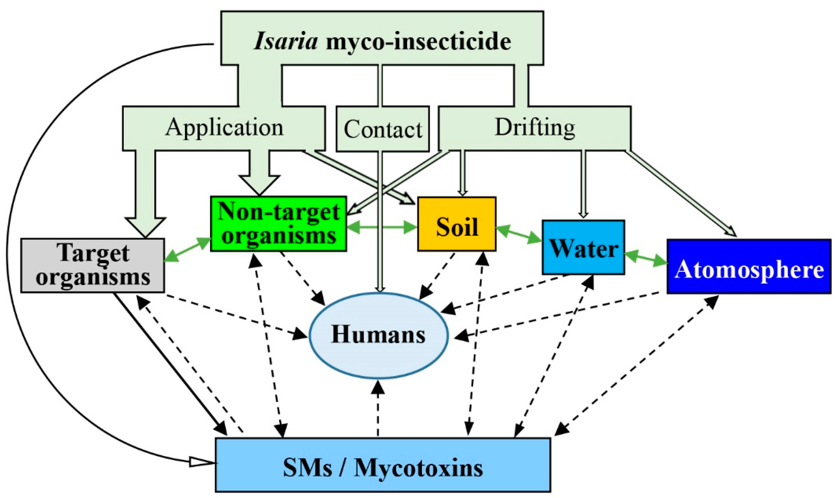 Molecules 24 00664 g004