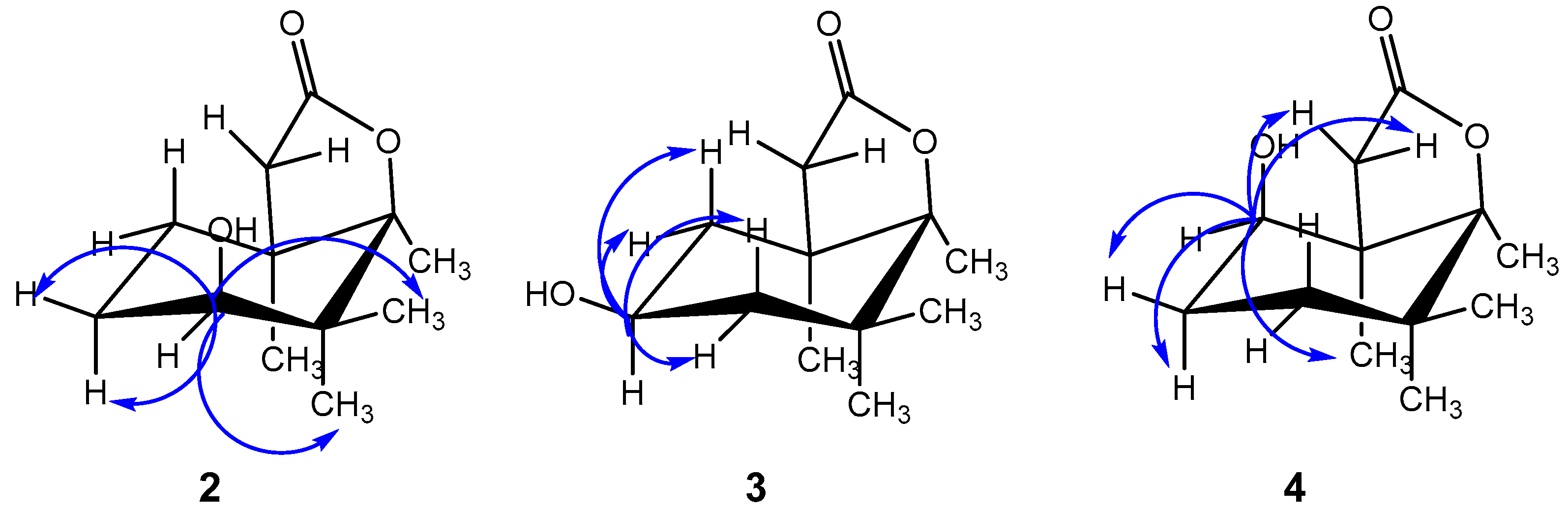 Molecules 24 00666 g001