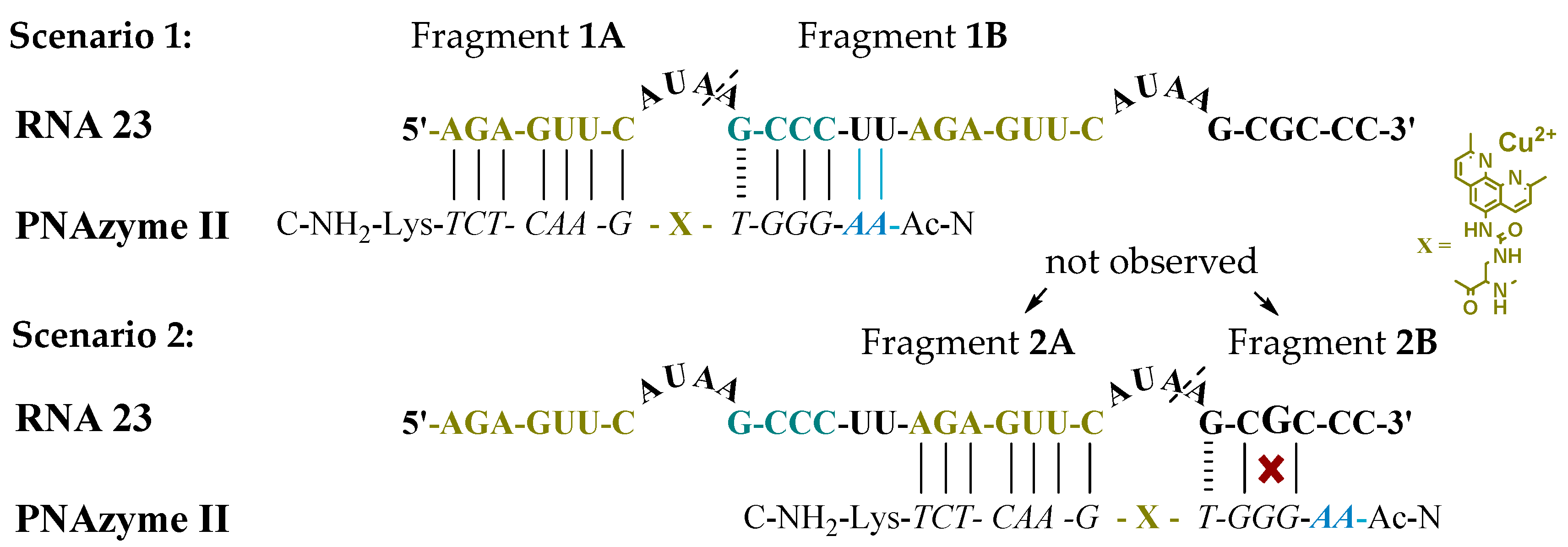 Molecules 24 00672 g001
