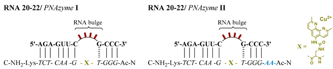 Molecules 24 00672 i003