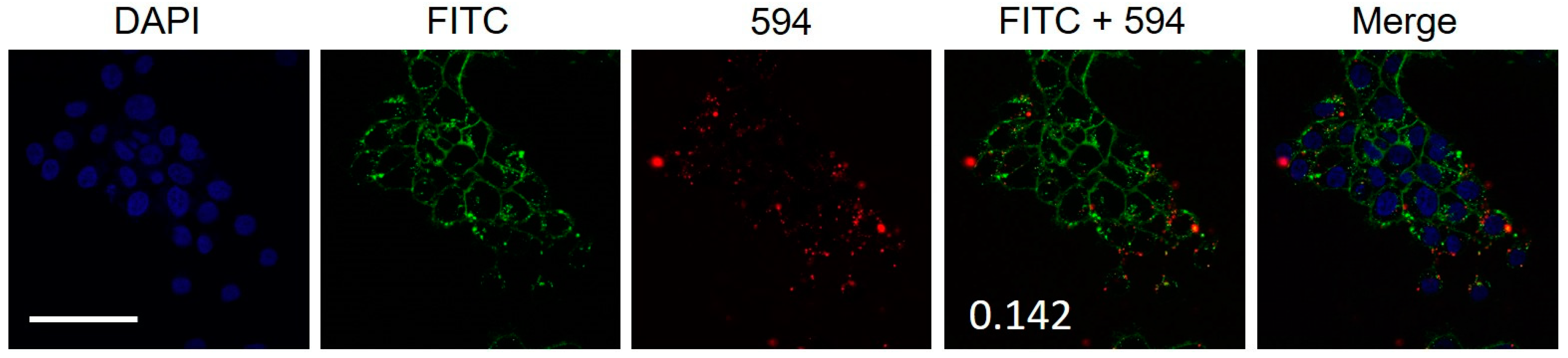 Molecules 24 00676 g002 Molecules 24 00676 g002