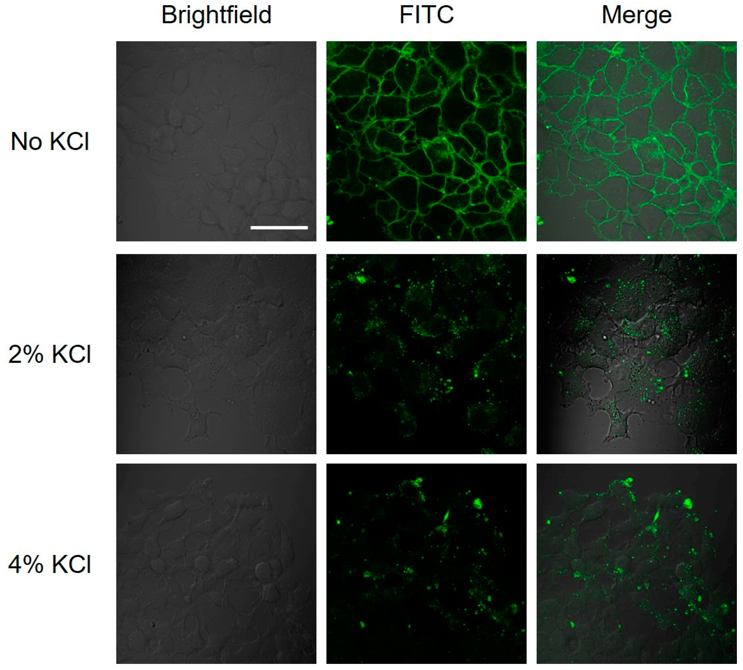 Molecules 24 00676 g003 Molecules 24 00676 g003