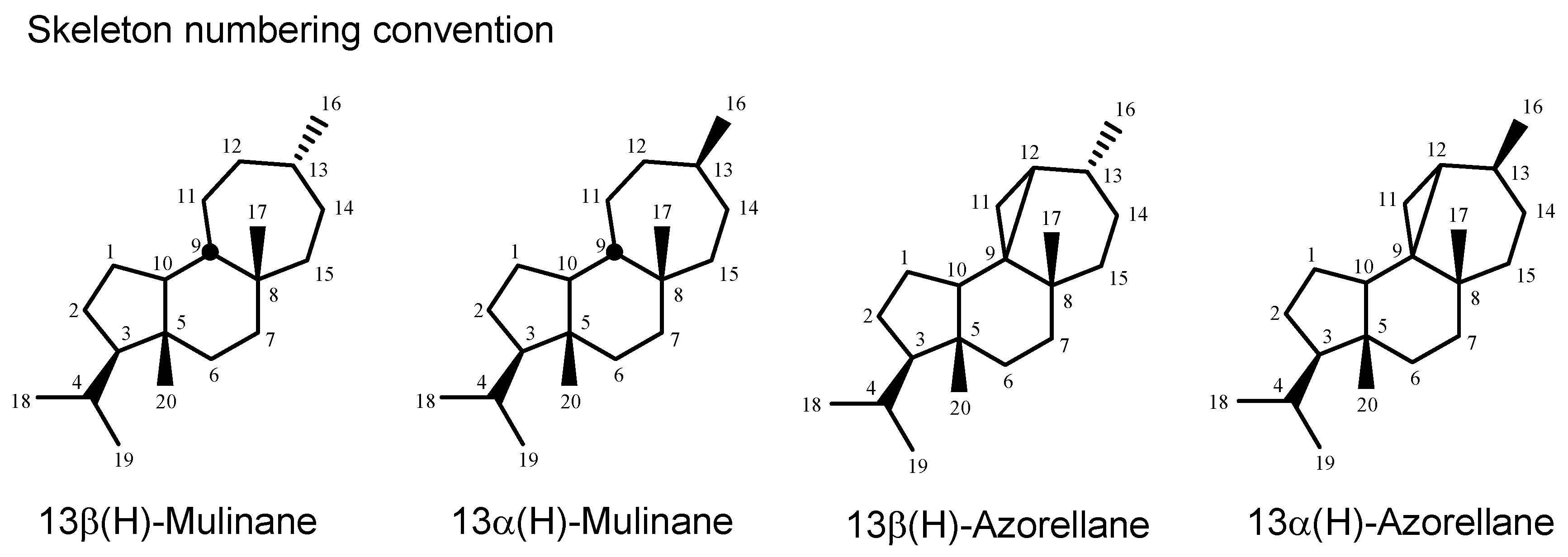 Molecules 24 00684 g001