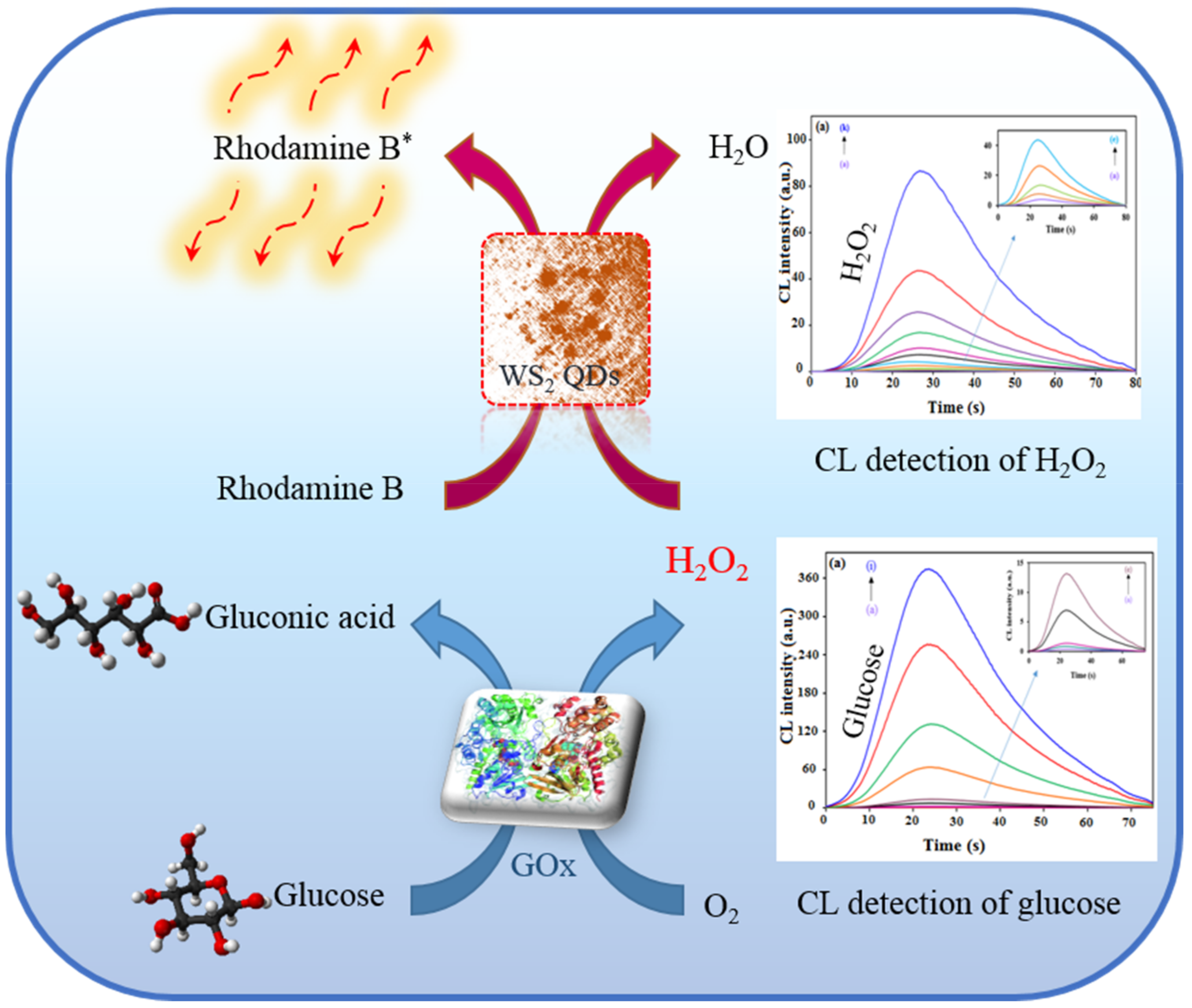 Molecules 24 00689 sch001 550