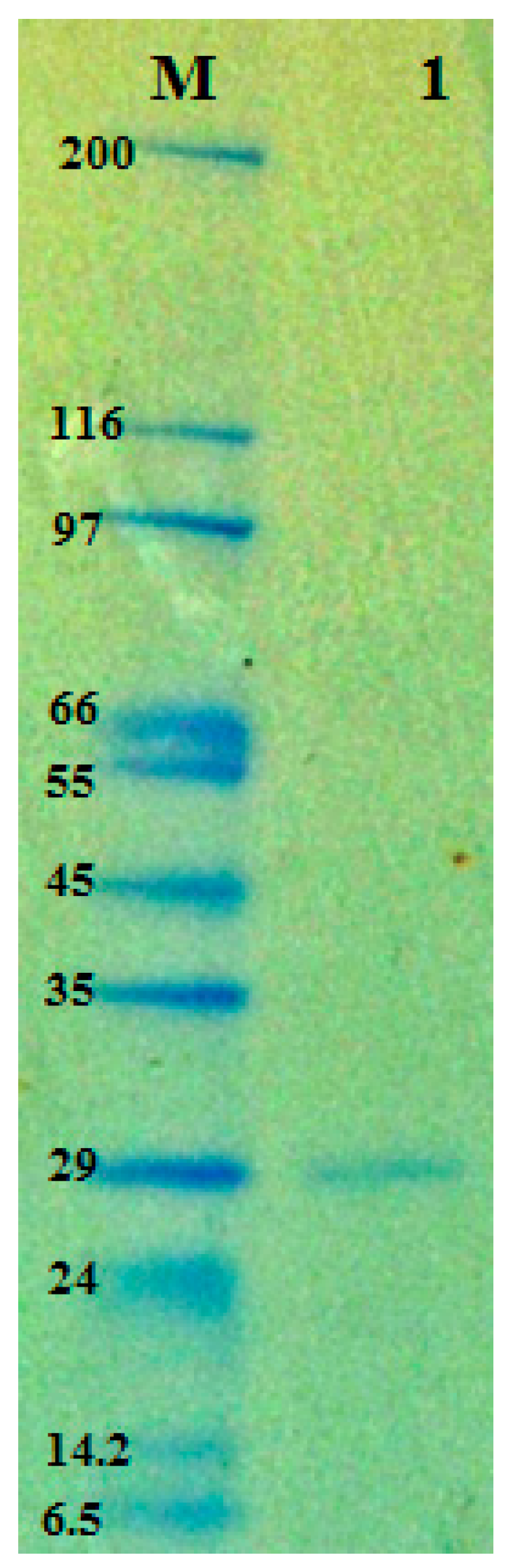 Molecules 24 00691 g003