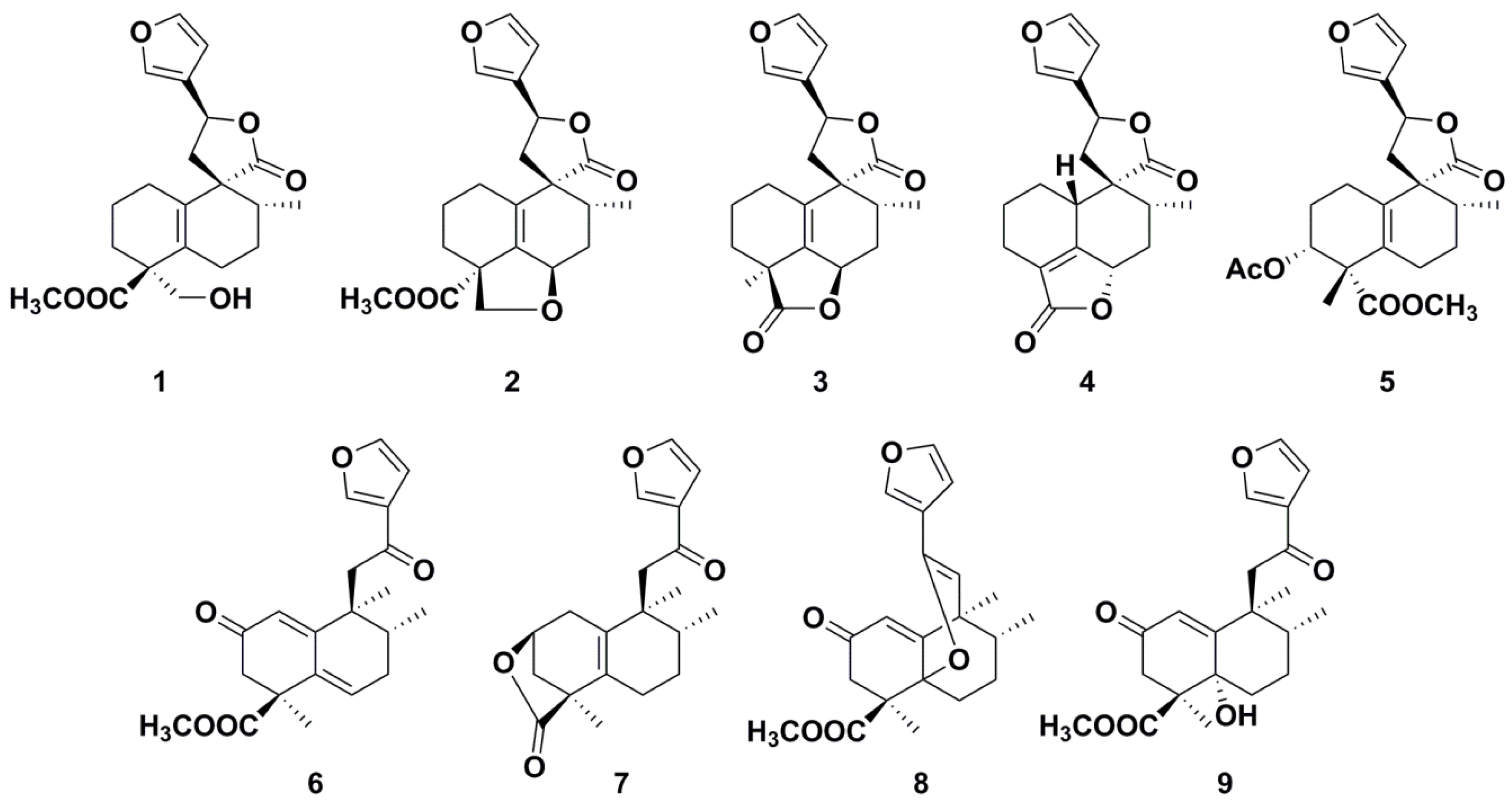 Molecules 24 00694 g001