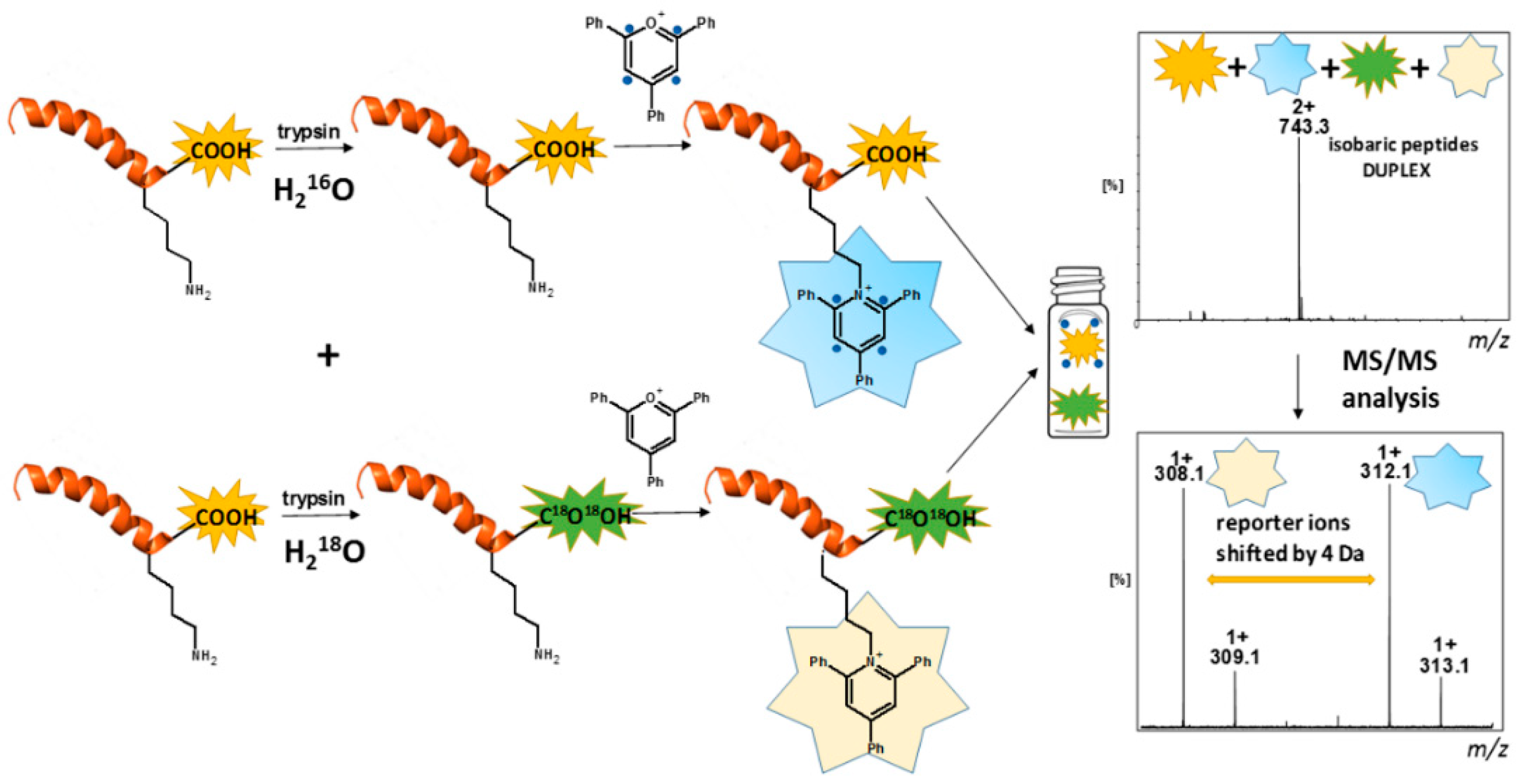 Molecules 24 00701 g014 Molecules 24 00701 g014