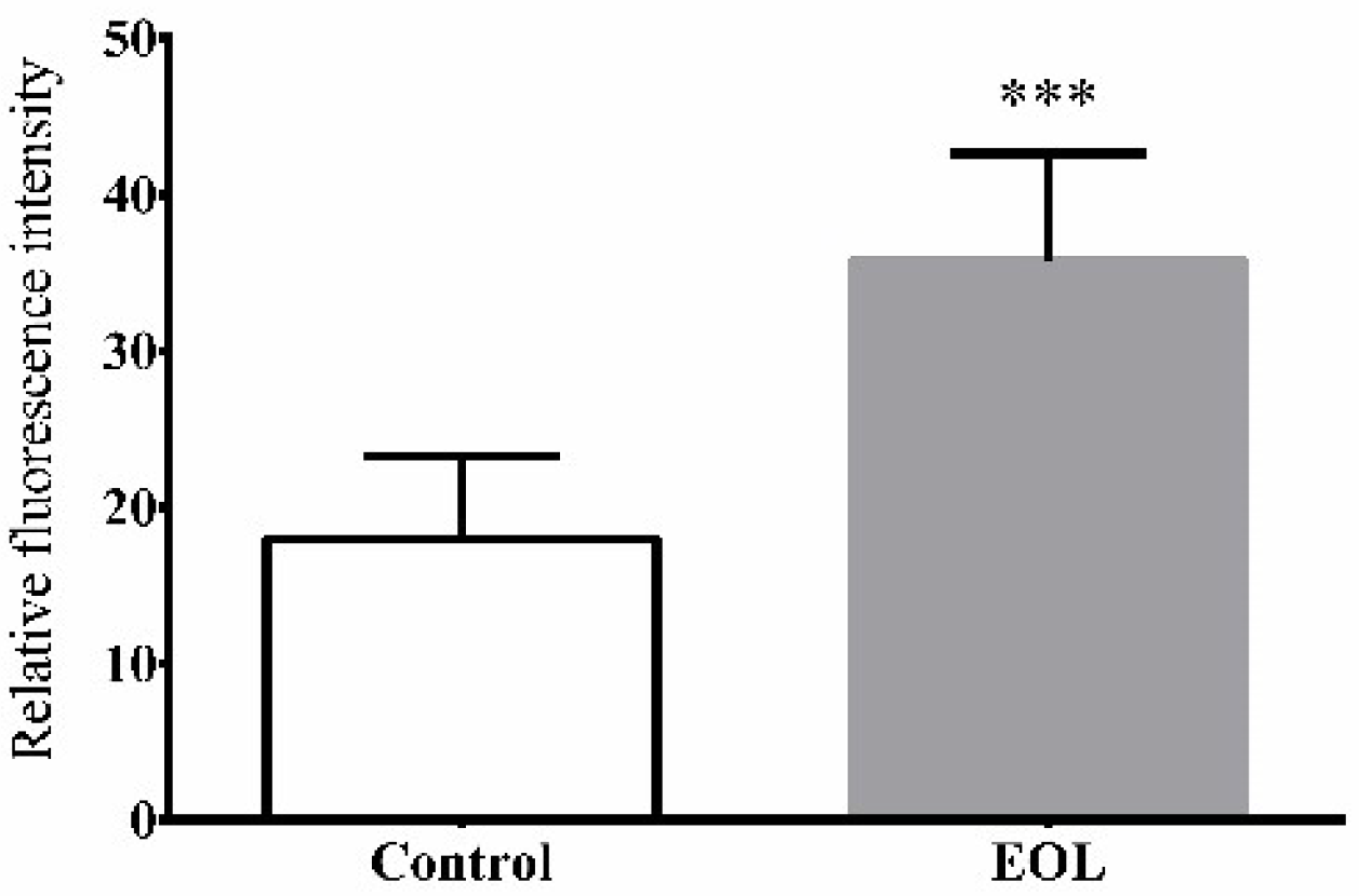 Molecules 24 00704 g006 Molecules 24 00704 g006