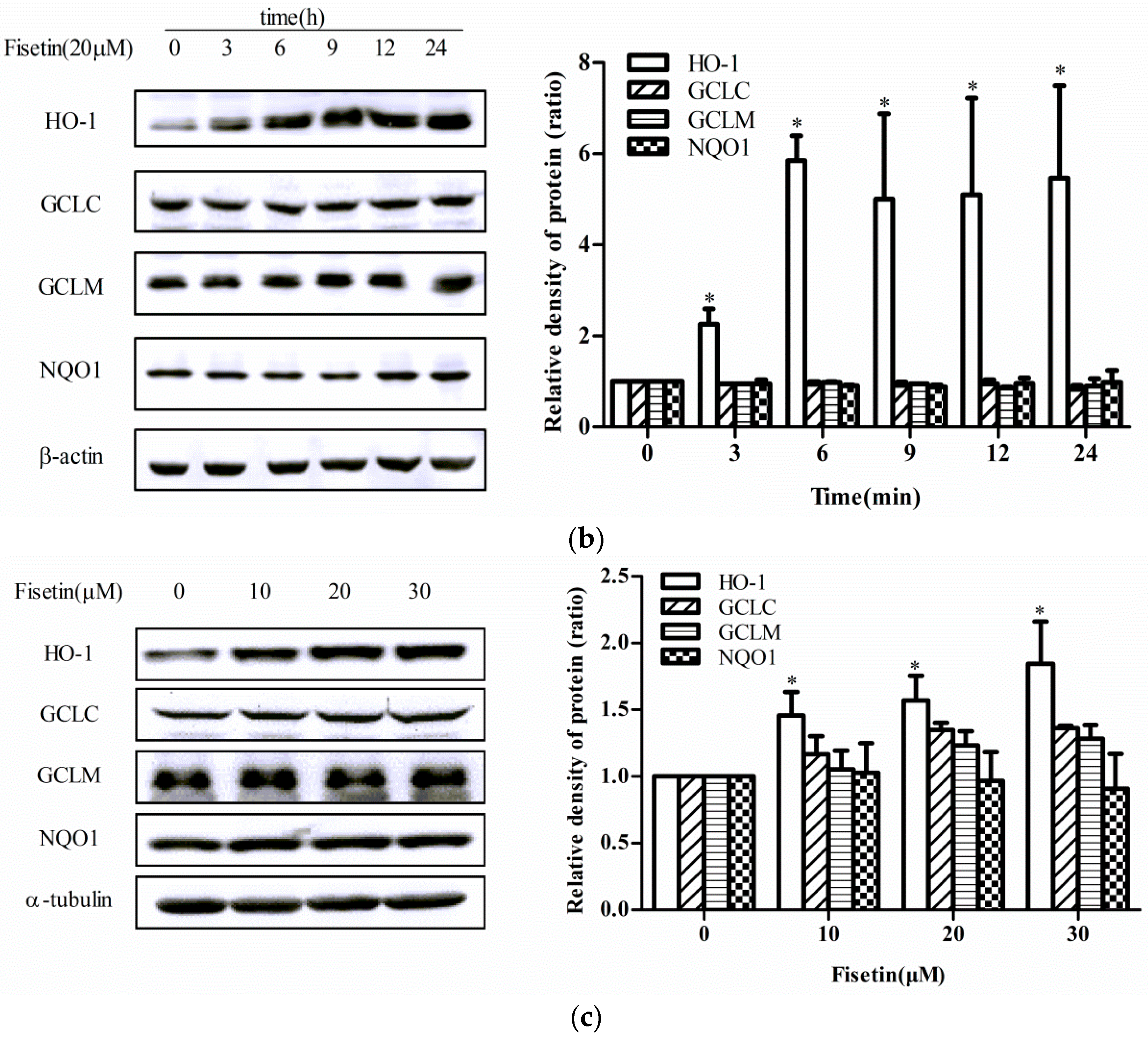 Molecules 24 00708 g002b