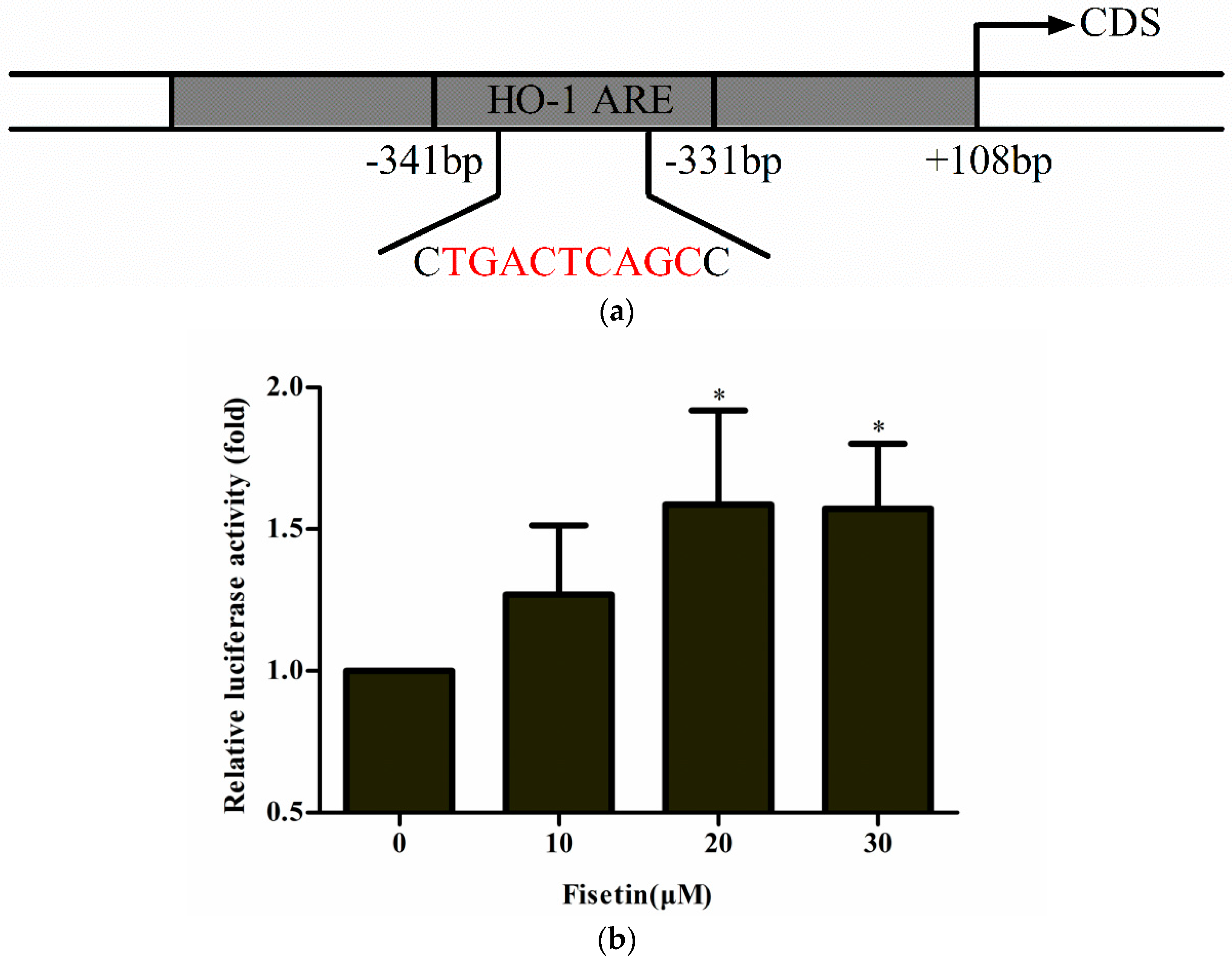 Molecules 24 00708 g004