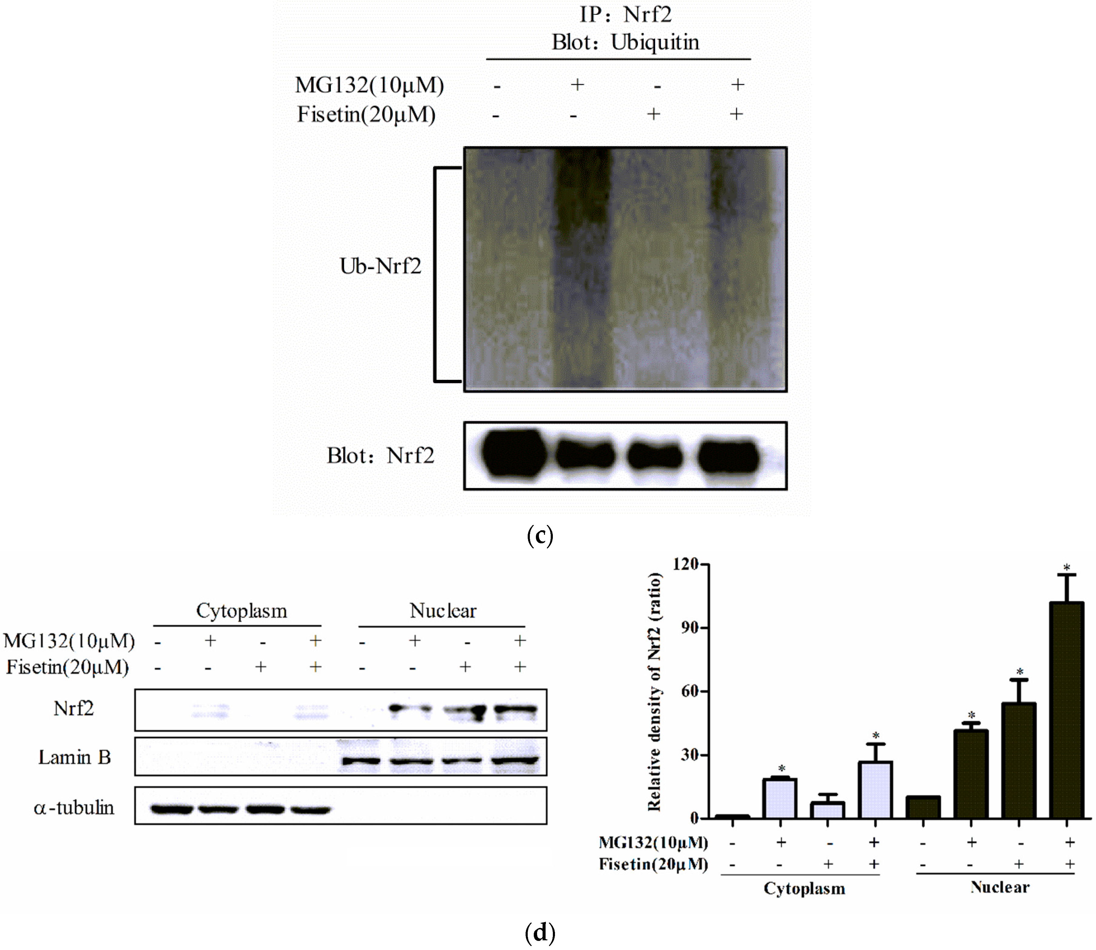 Molecules 24 00708 g006b