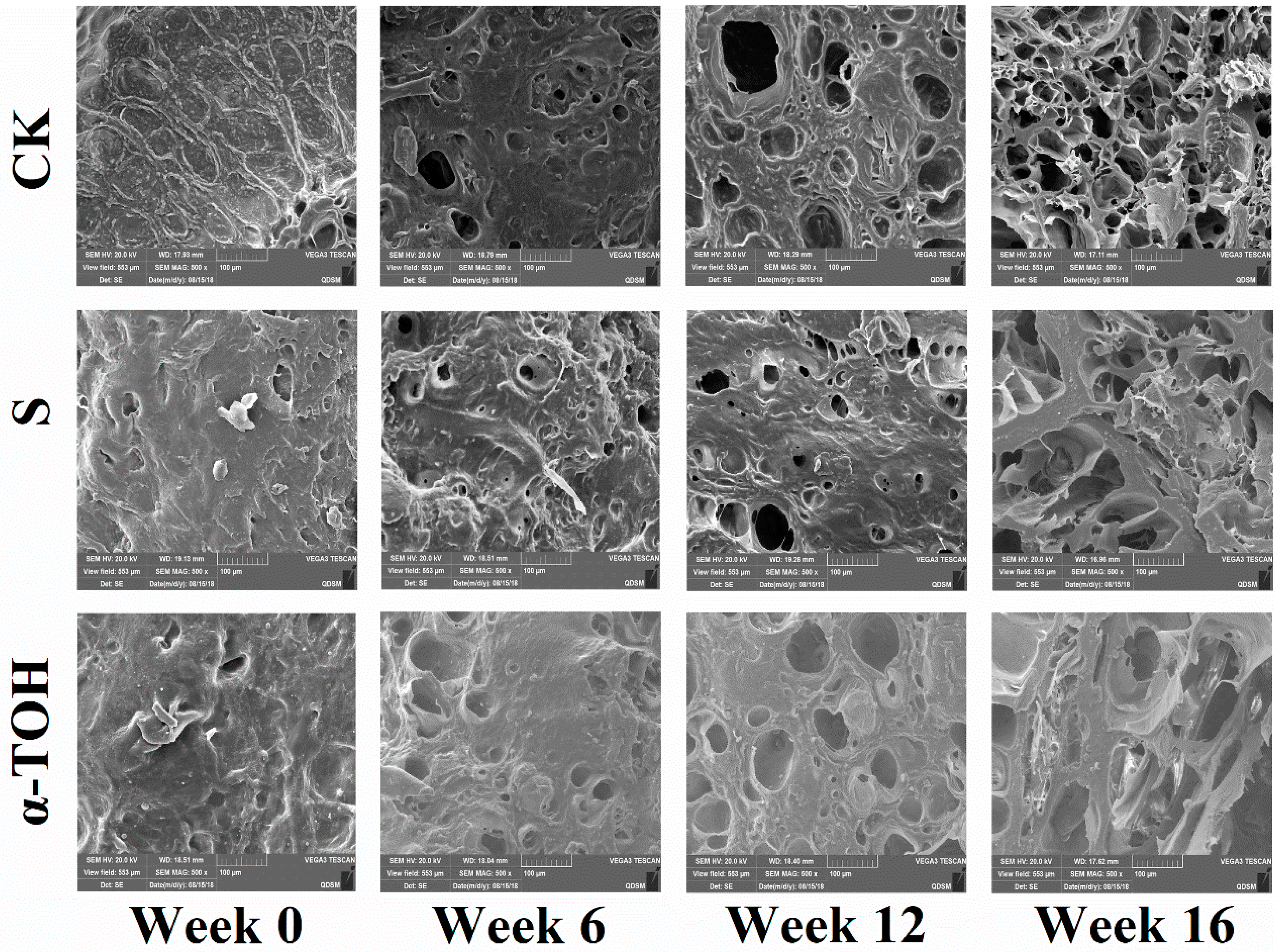 Molecules 24 00710 g006