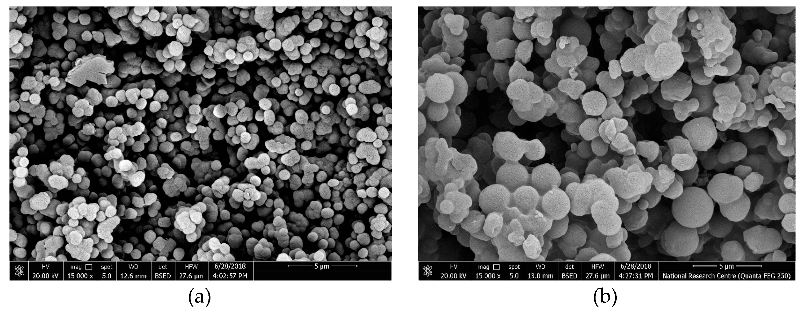 Molecules 24 00712 g002 Molecules 24 00712 g002