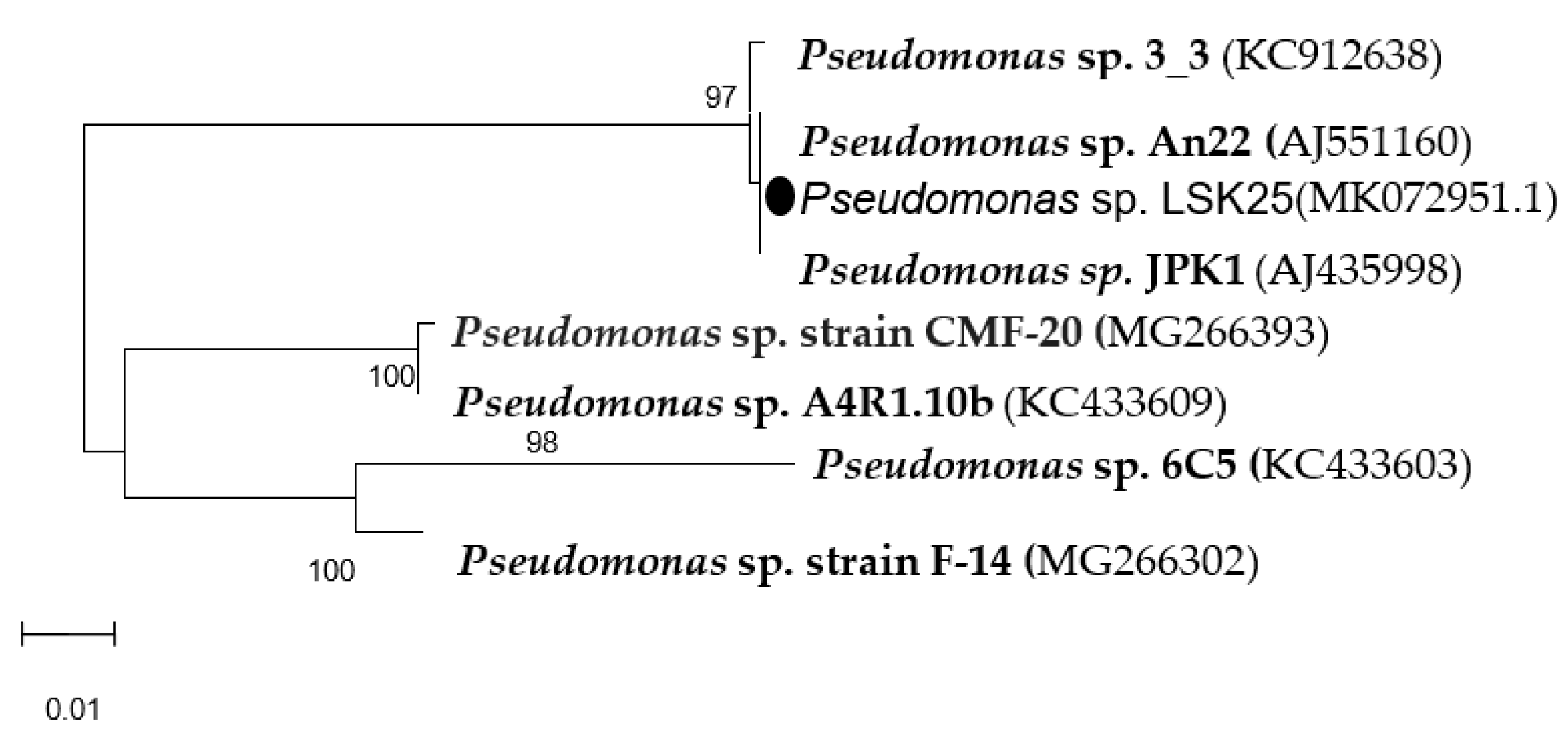 Molecules 24 00715 g003