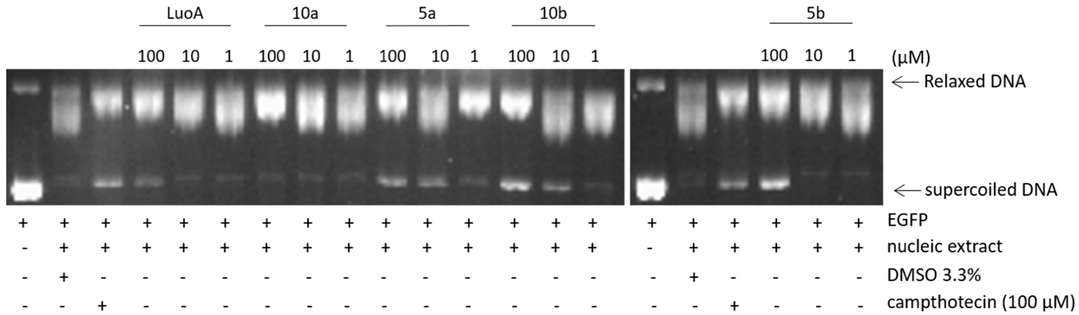 Molecules 24 00716 g004 Molecules 24 00716 g004