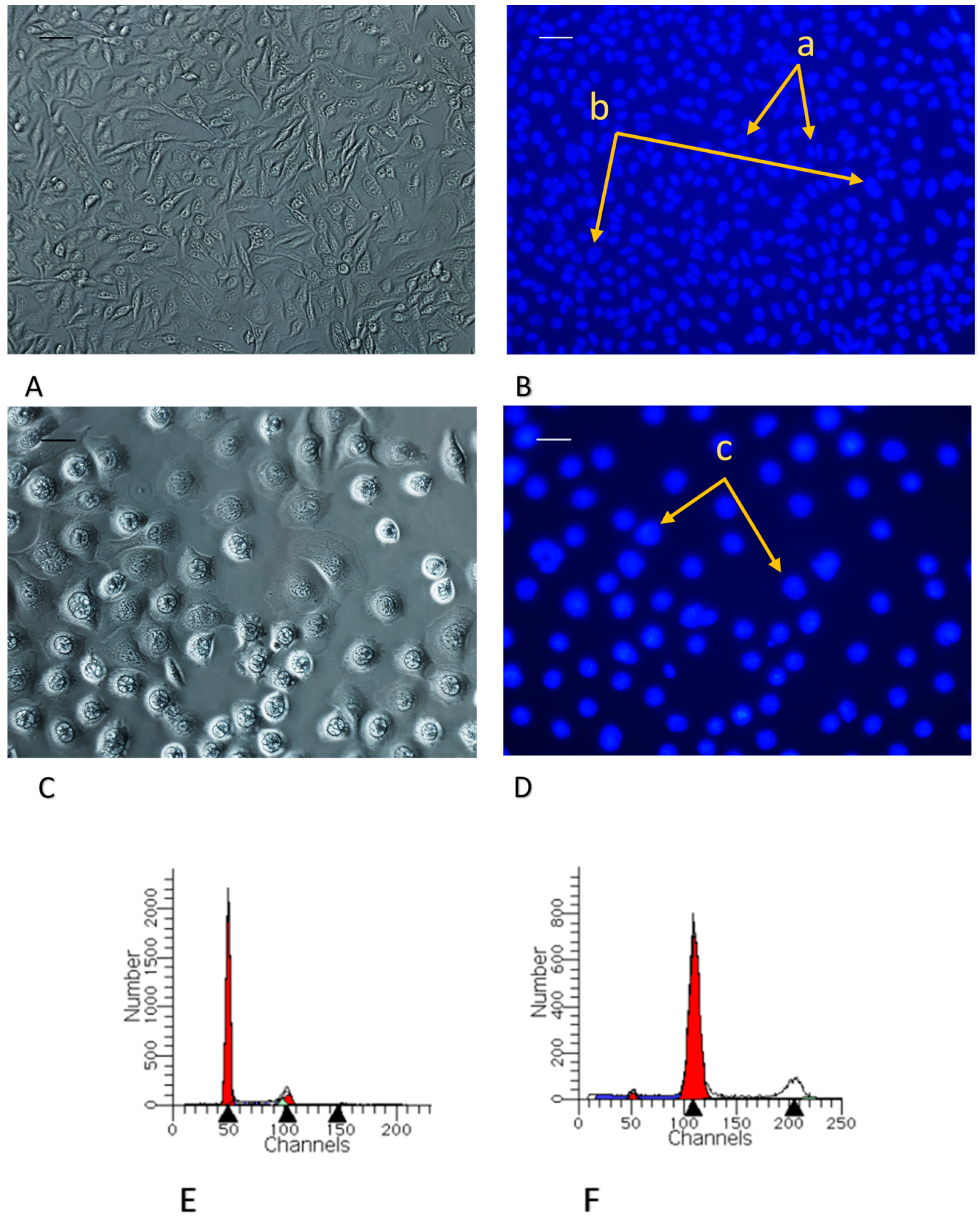 Molecules 24 00716 g005 Molecules 24 00716 g005